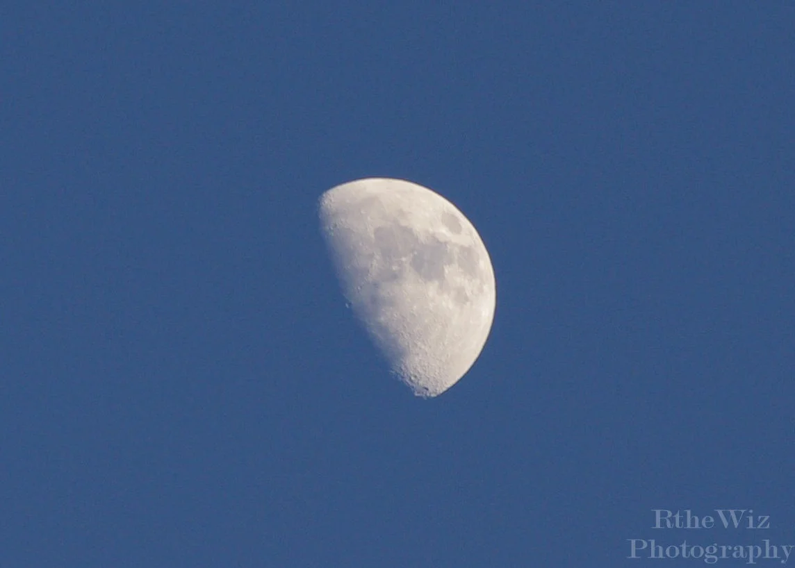 Moonrise - Yellowstone