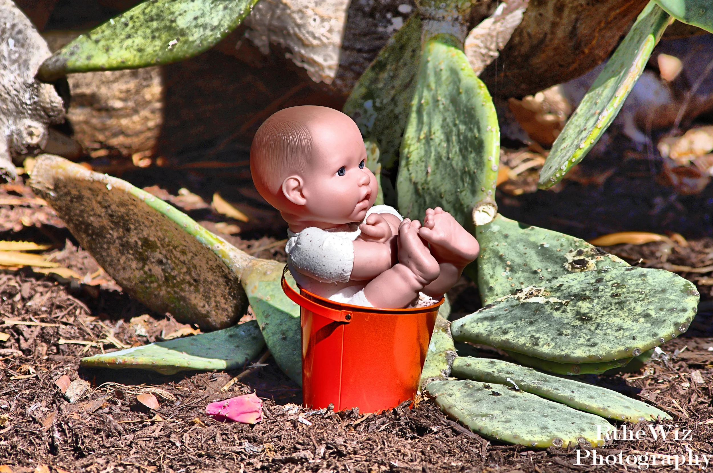 Baby in a Bucket