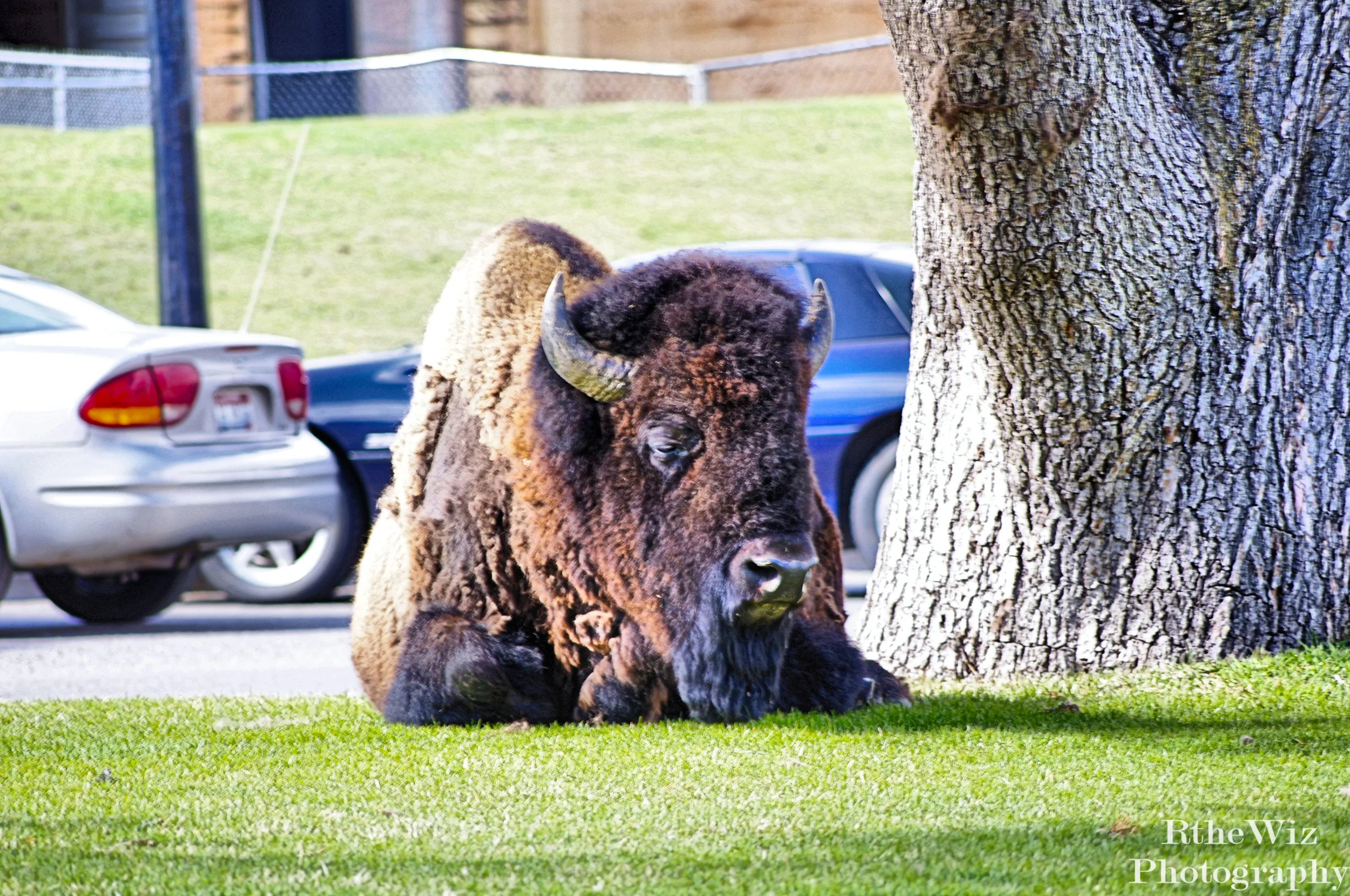 Downtown - Mammoth, Montana