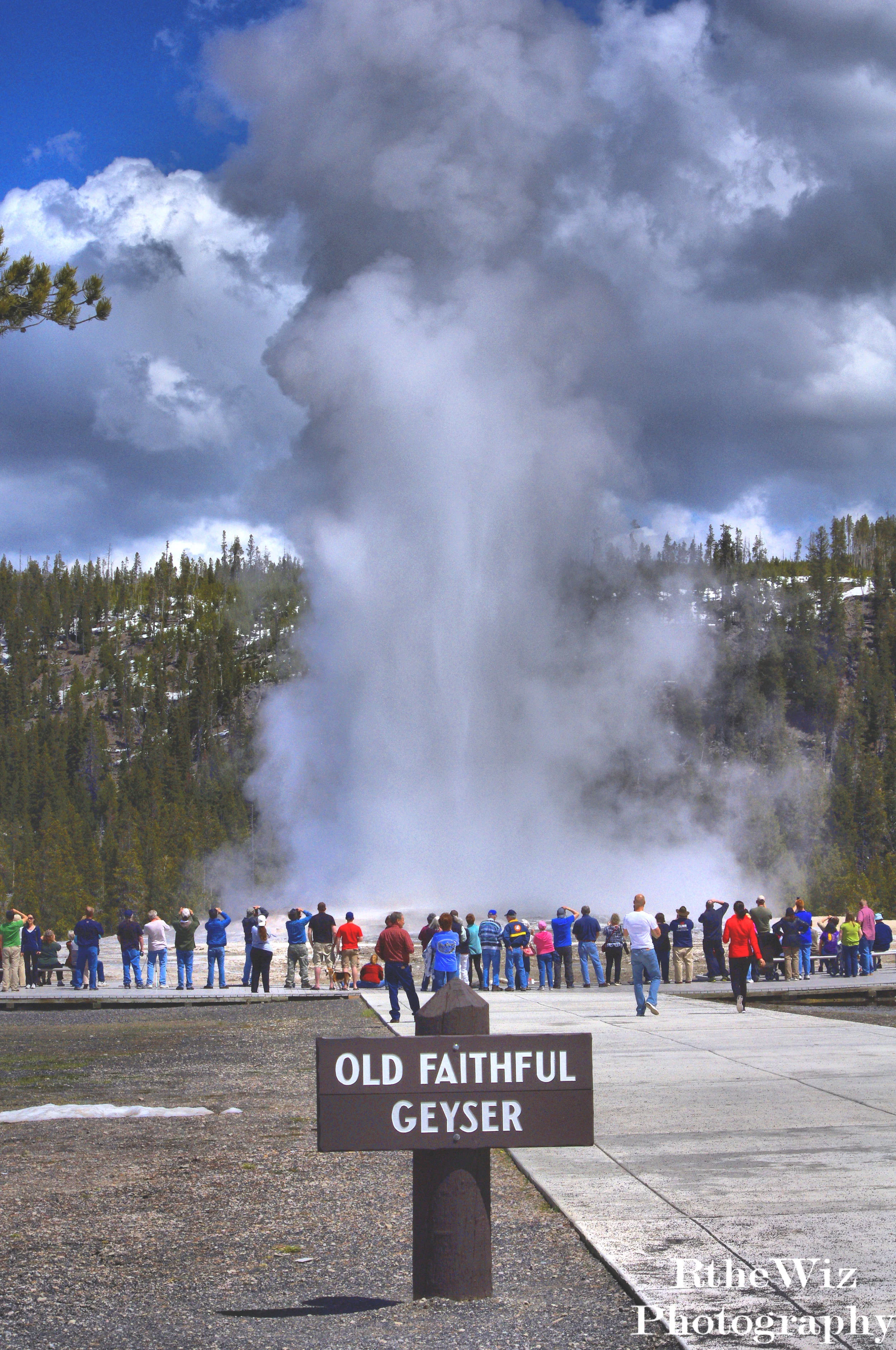 Old Faithful