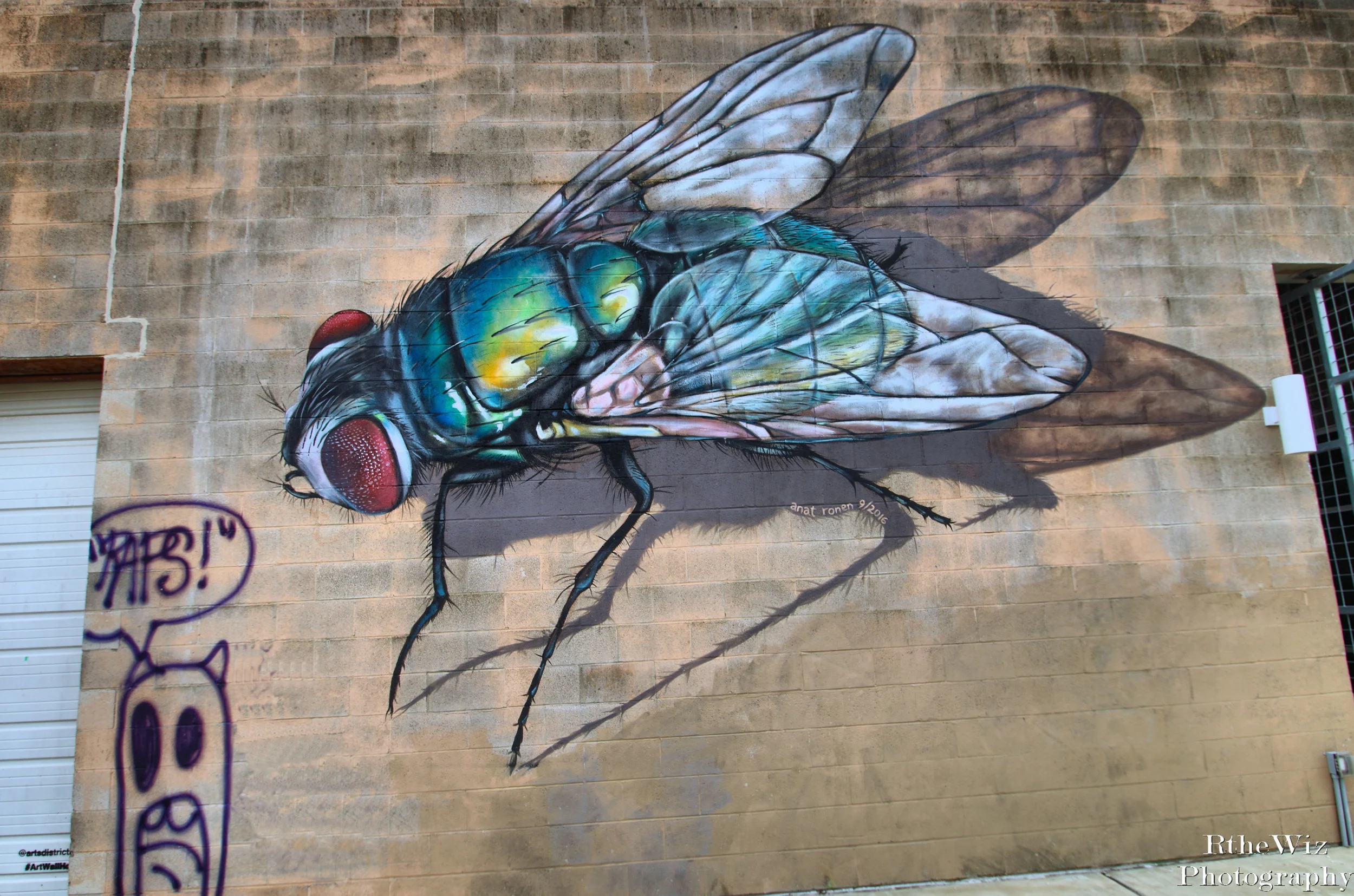 Winter St. Gallery - Heights District