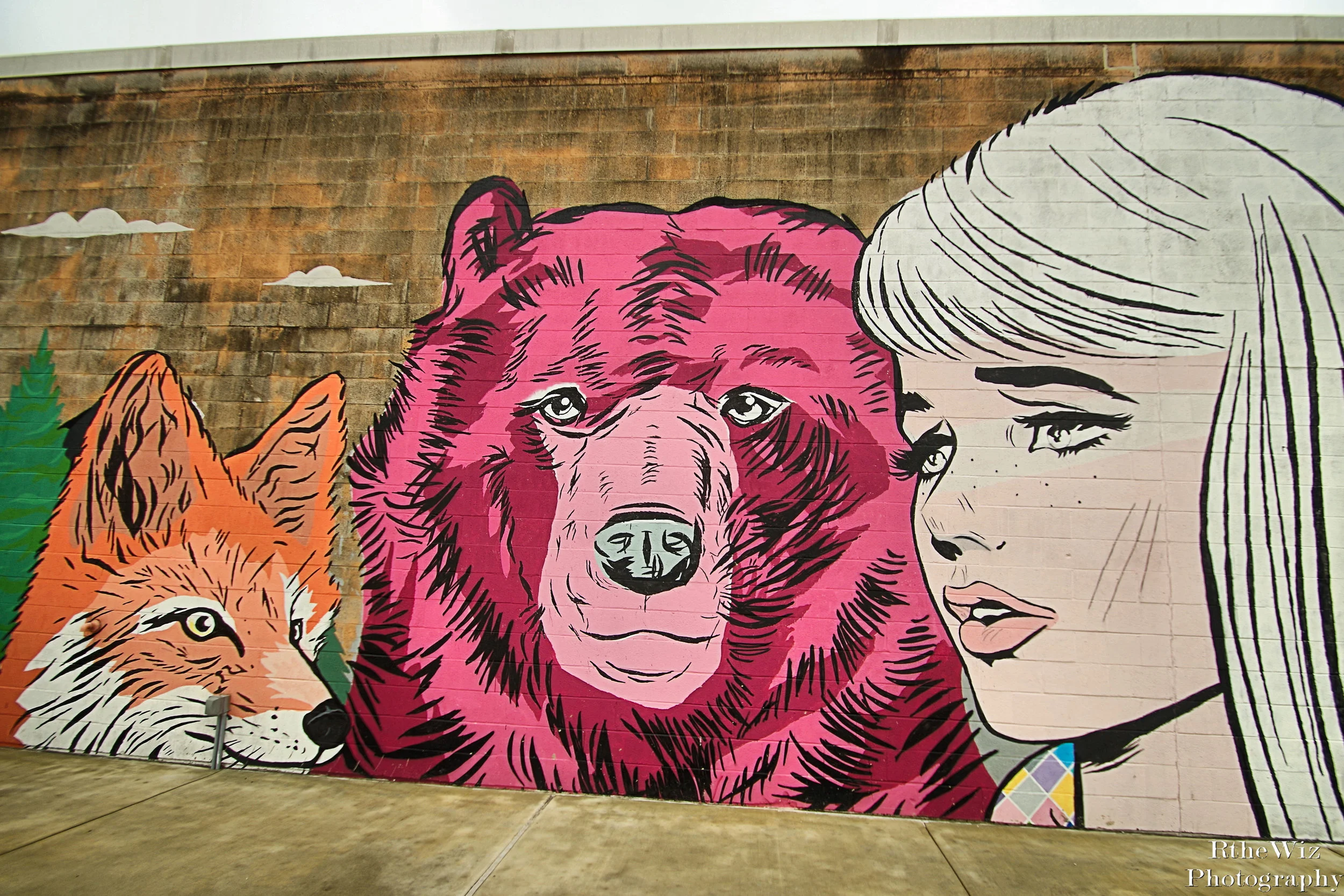 Winter St. Gallery - Heights District