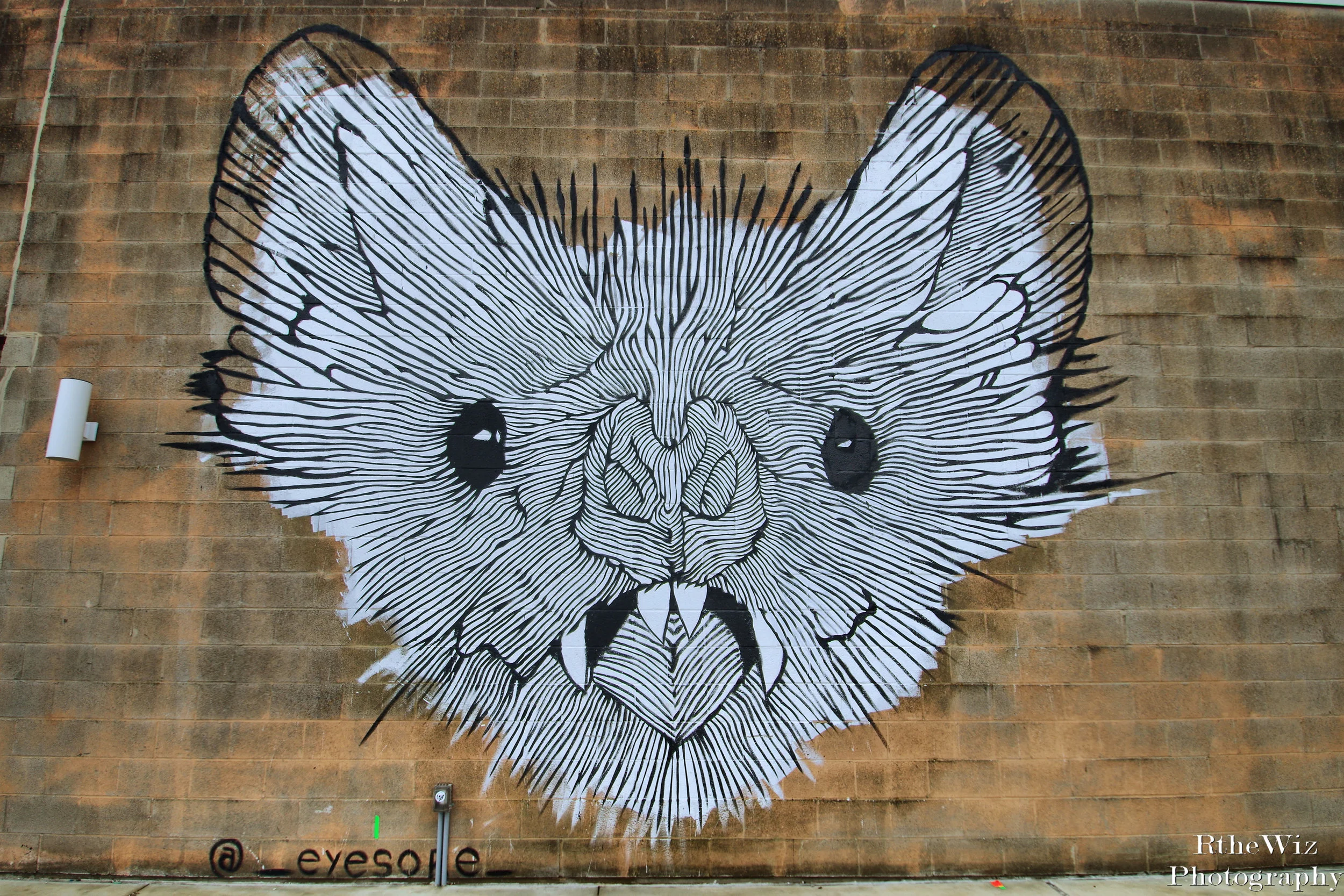 Winter St. Gallery - Heights District