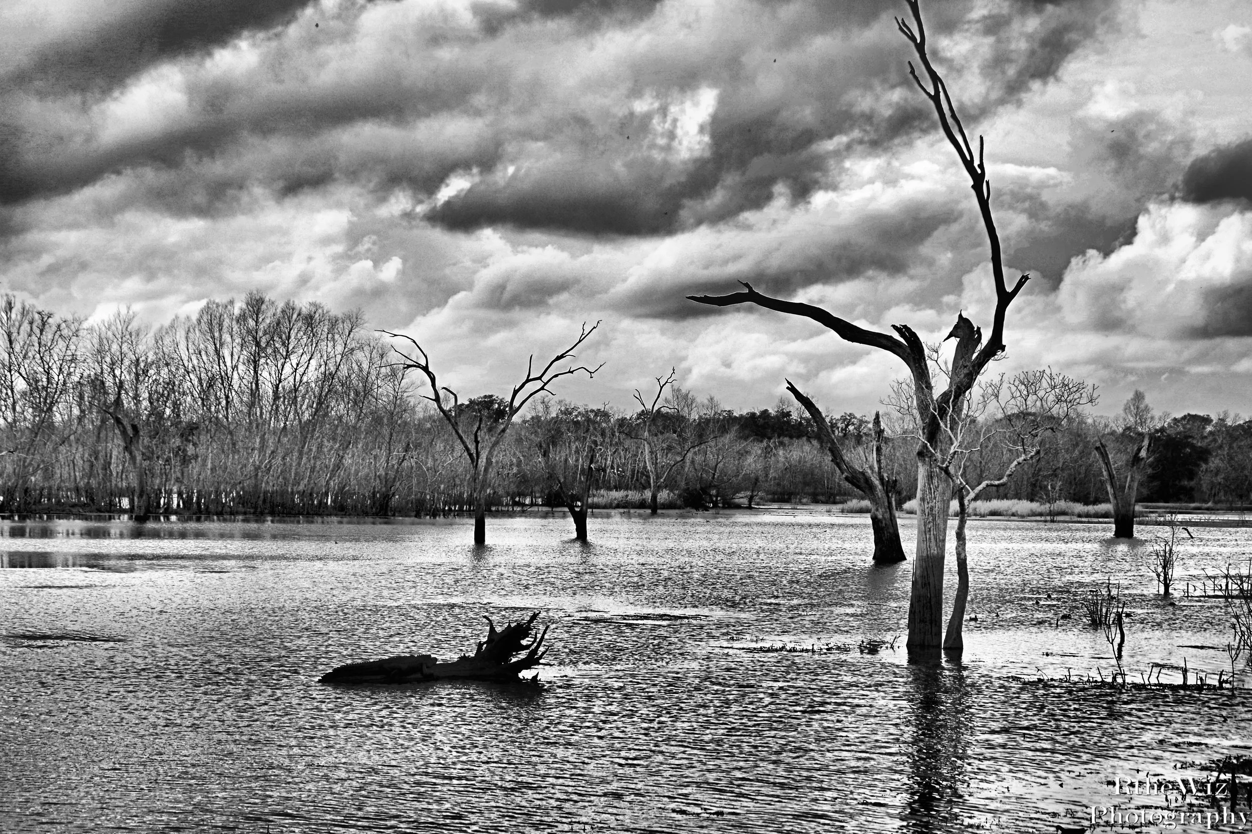 After the flood . . .