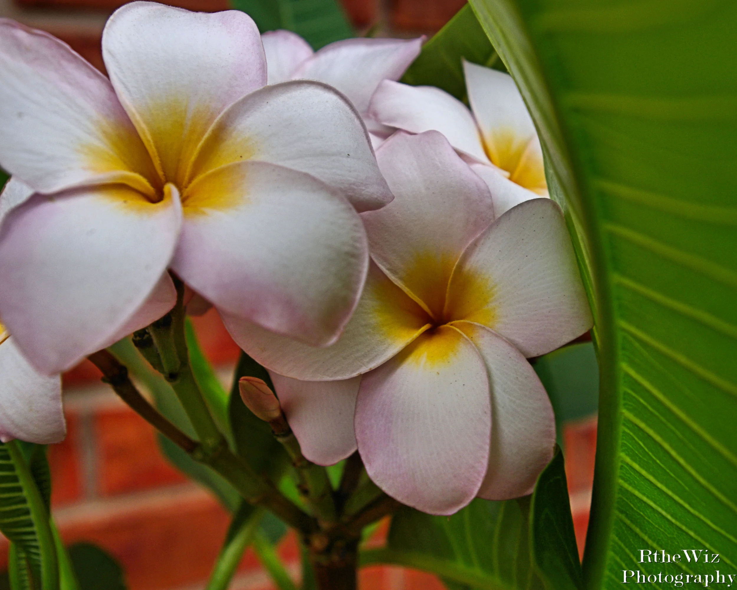 One afternoon in 2011