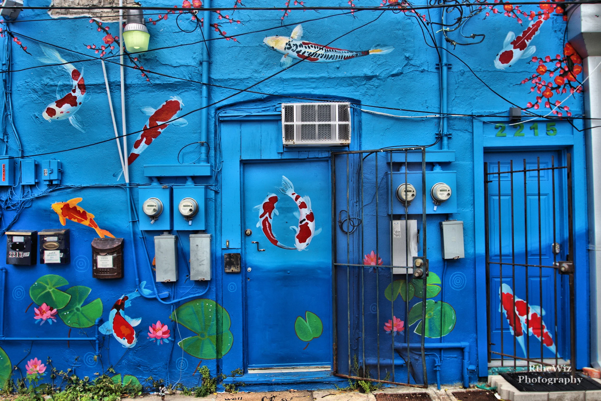 Back door in an alley in Harbour district - Galveston