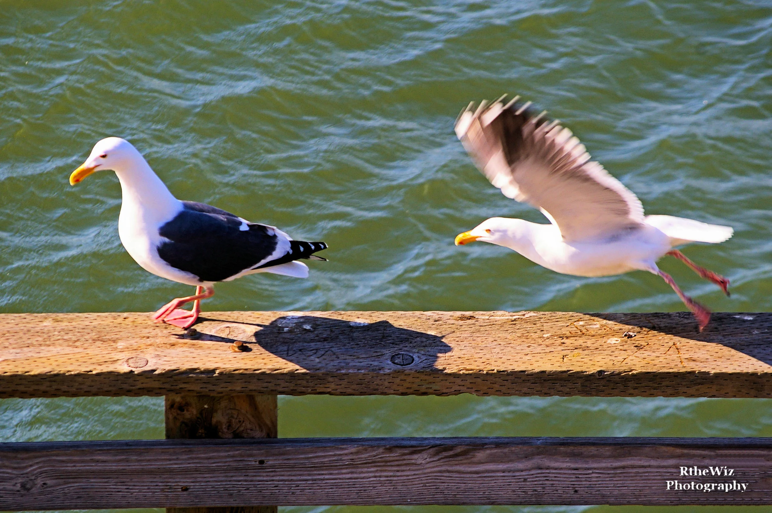 And in 3 ... 2 ... 1 ...