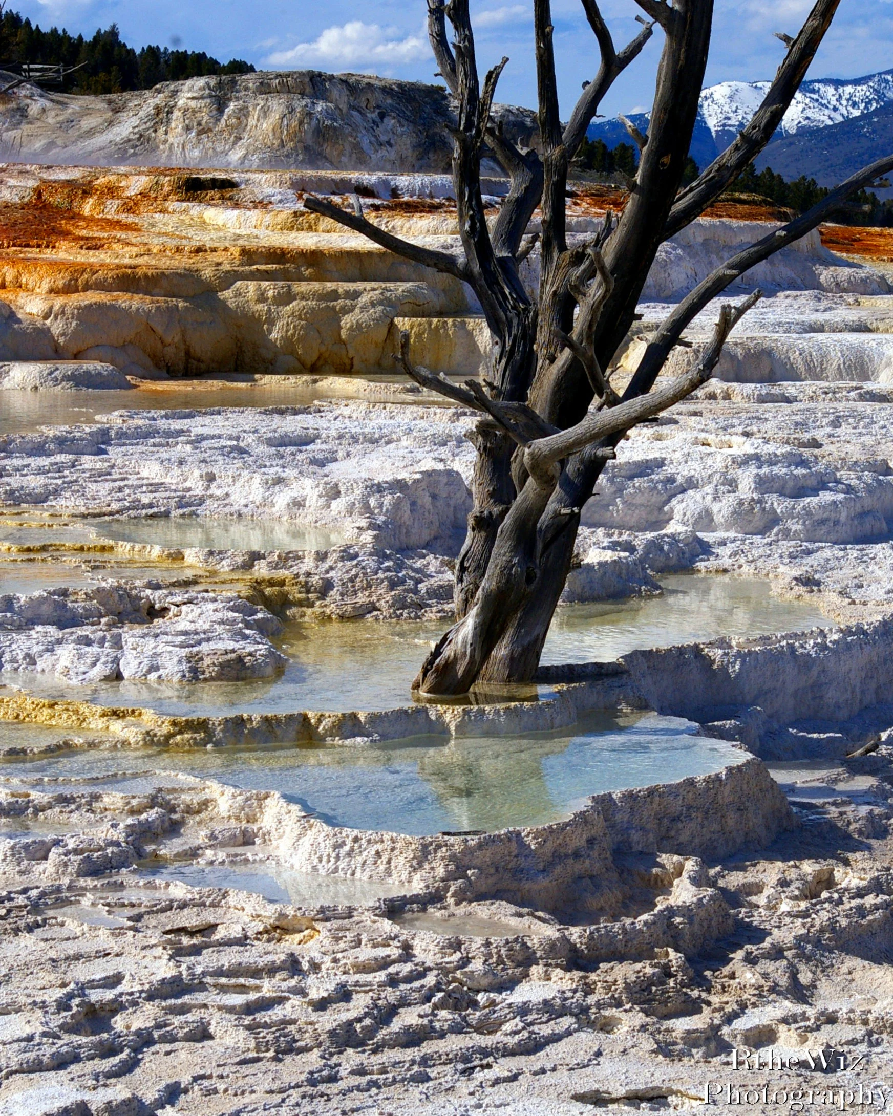 Acid pools near Mammoth, Montana (in Yellowstone)
