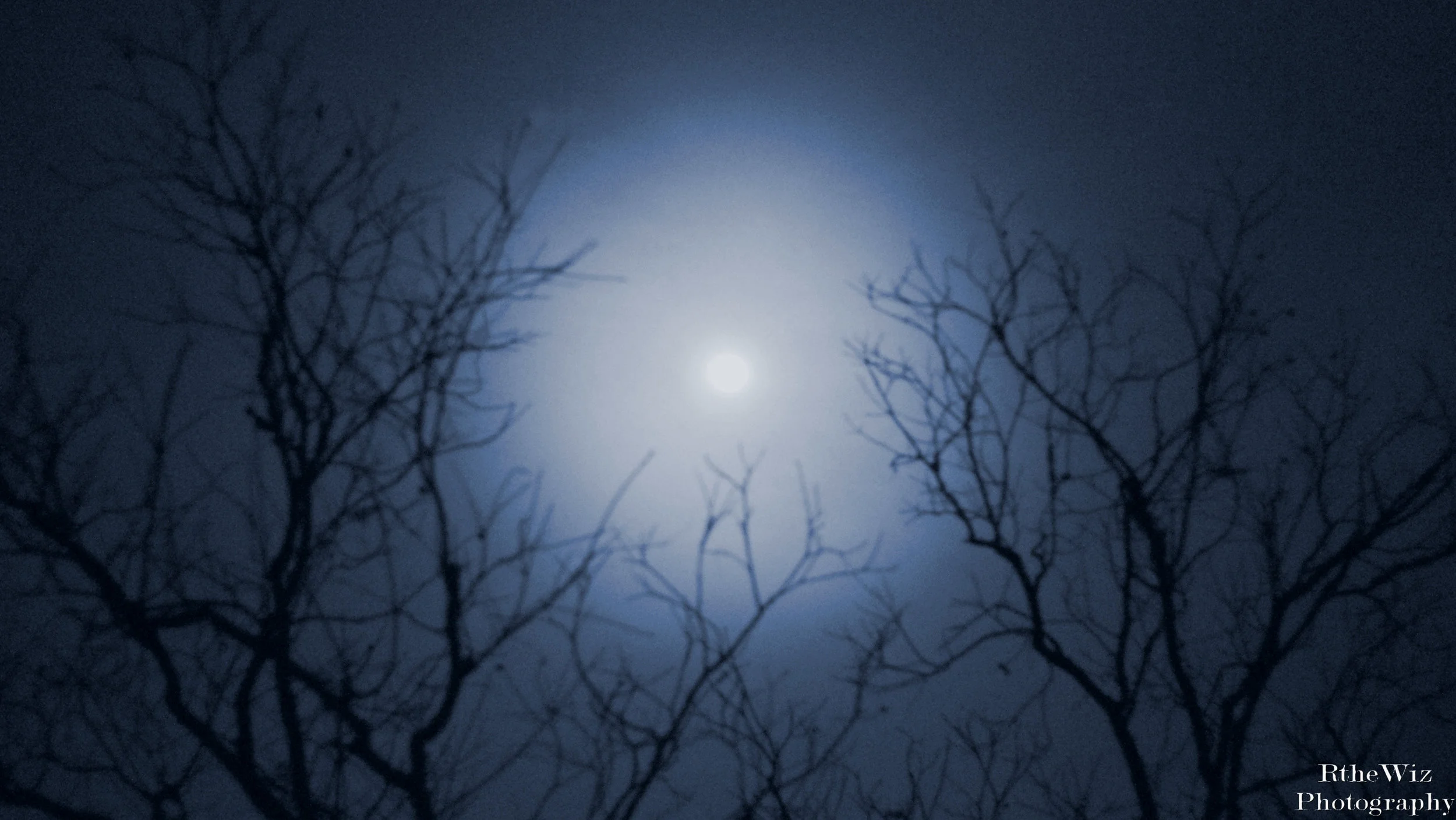 Midnight in the Garden of Good and Evil