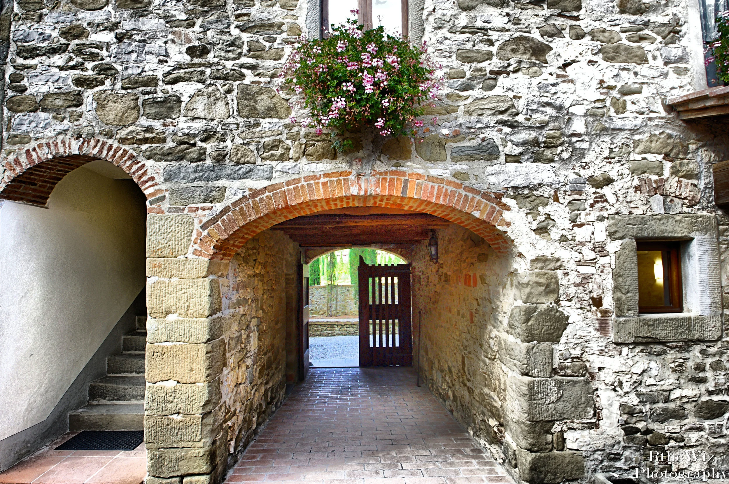 Copy of IMGP1441.JPG