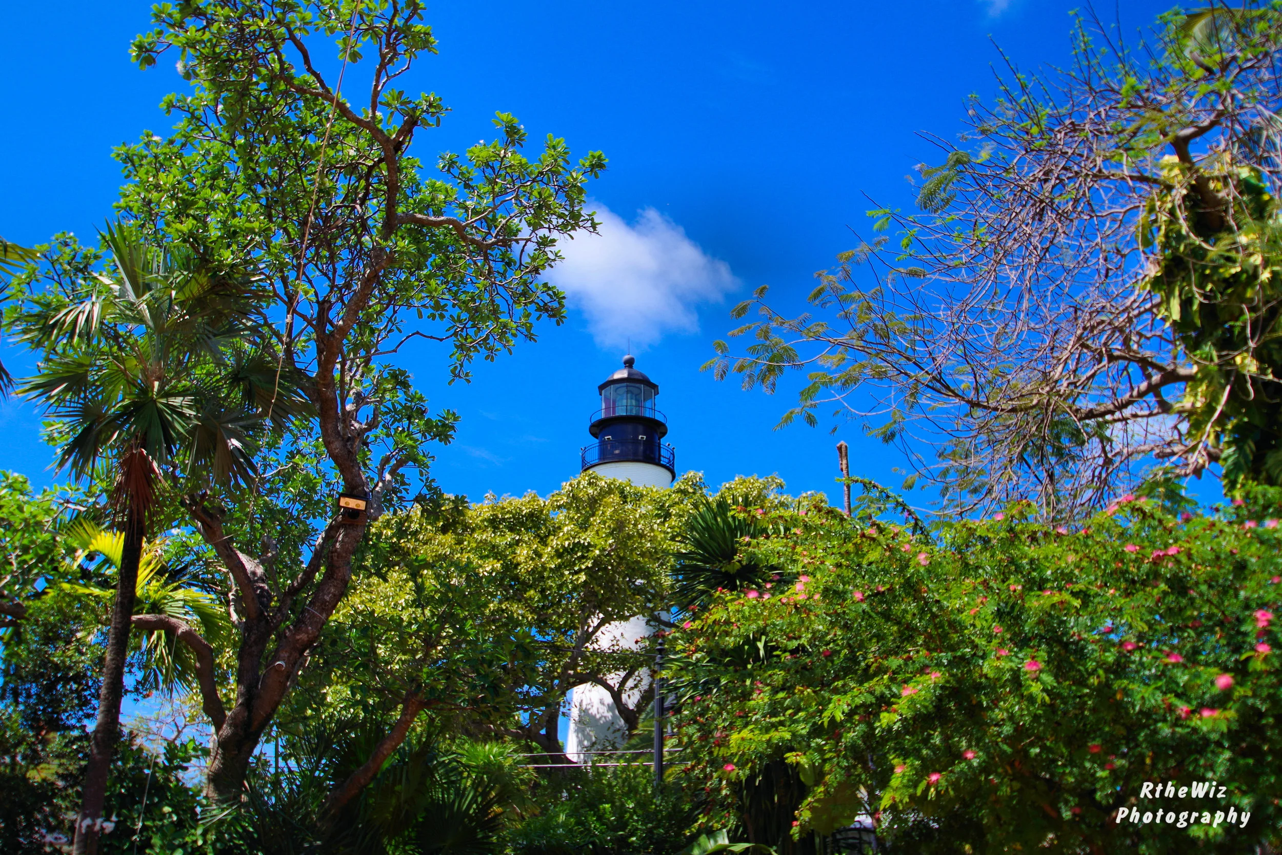 Copy of RGW_2123.JPG