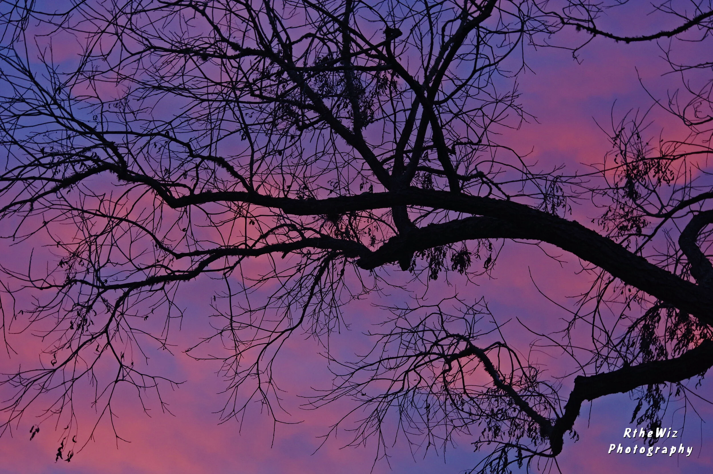 As a self-taught composer and performer, Zappa had diverse musical influences that led him to create music that was sometimes difficult to categorize. While in his teens, he acquired a taste for 20th-century classical modernism, African-American rhy…