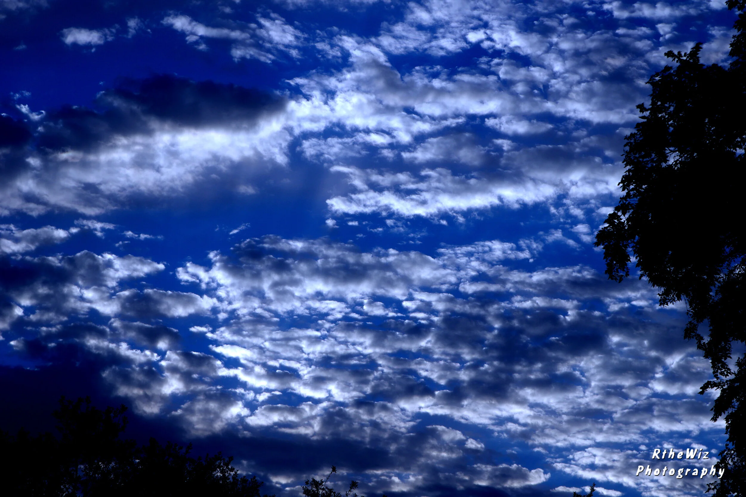 Winnie-the-Pooh (1926) is a best-selling classic children’s book. It is the first volume of stories about Winnie-the-Pooh, written by A. A. Milne and illustrated by E. H. Shepard. The book focuses on the adventures of a teddy bear called Winnie-the-Pooh and his friends Piglet, a small toy pig; Eeyore, a toy donkey; Owl, a live owl; and Rabbit, a live rabbit. The characters of Kanga, a toy kangaroo, and her son Roo are introduced later in the book, in the chapter entitled "In Which Kanga and Baby Roo Come to the Forest and Piglet has a Bath". The bouncy toy-tiger character of Tigger is not introduced until the sequel, The House at Pooh Corner.