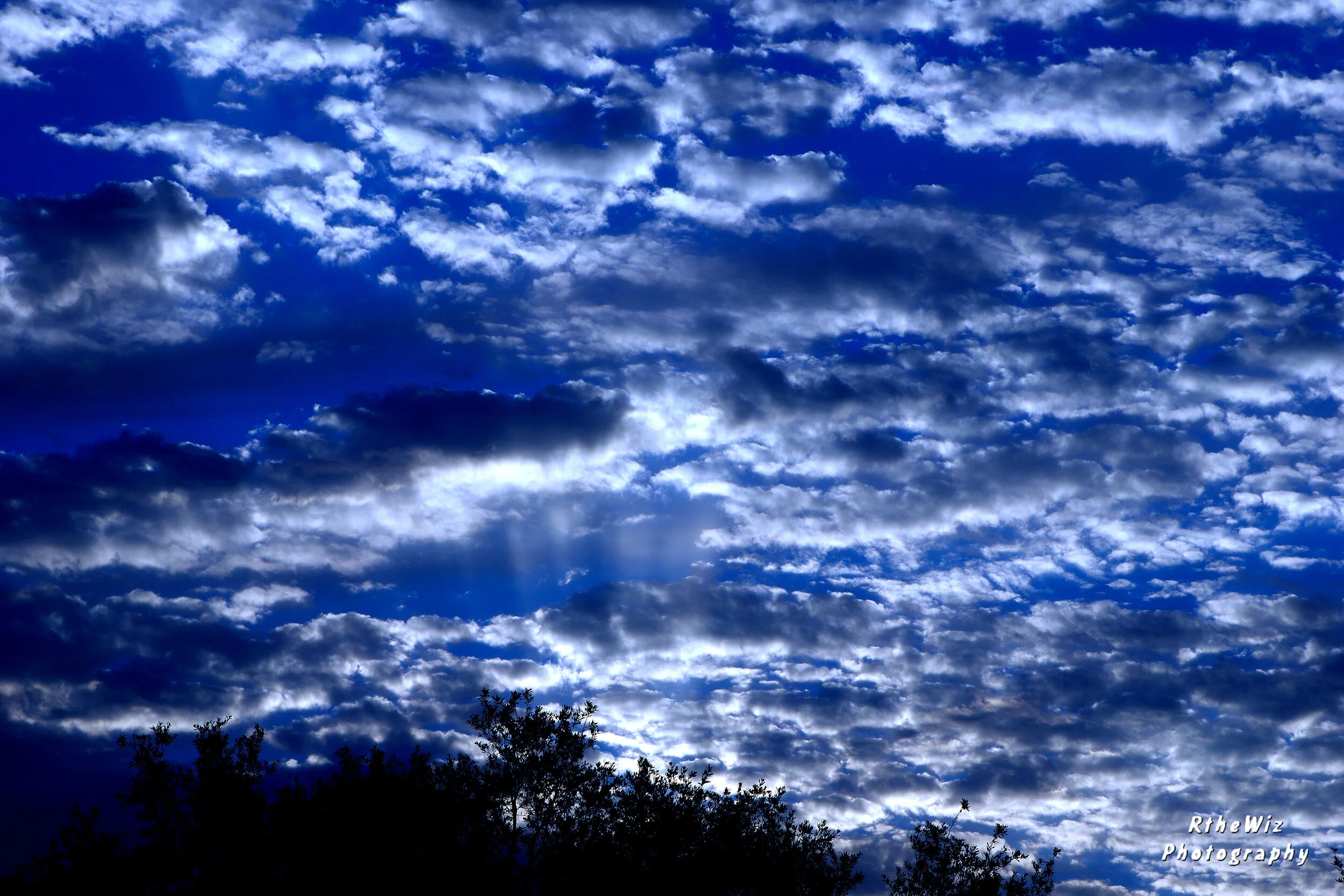 Copy of RWIZ8152.JPG