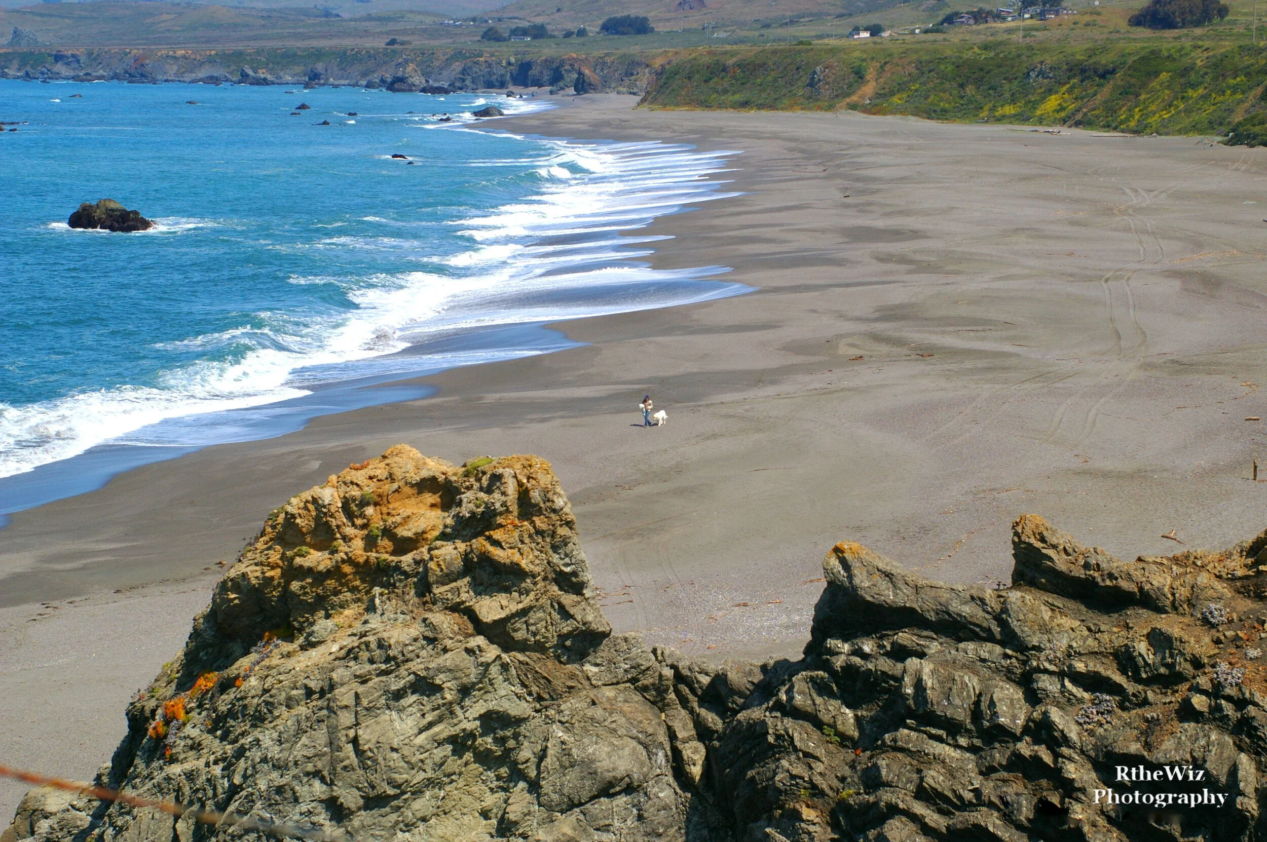 Copy of IMGP4401-2.JPG