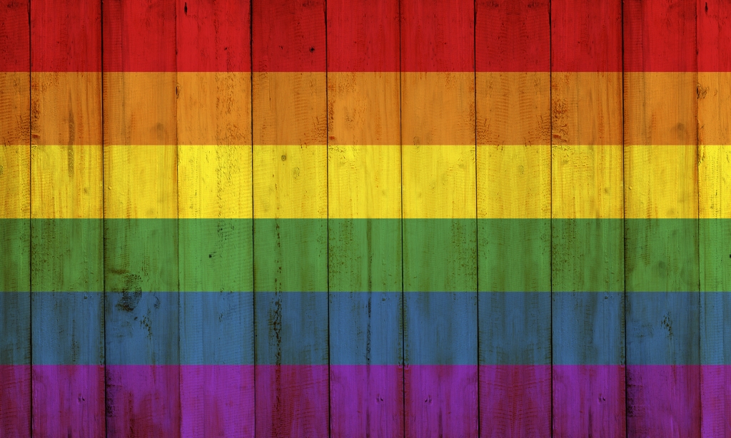 photodune-11998443-gay-flag-rainbow-on-wooden-fence-texture-m-1024x614.jpg