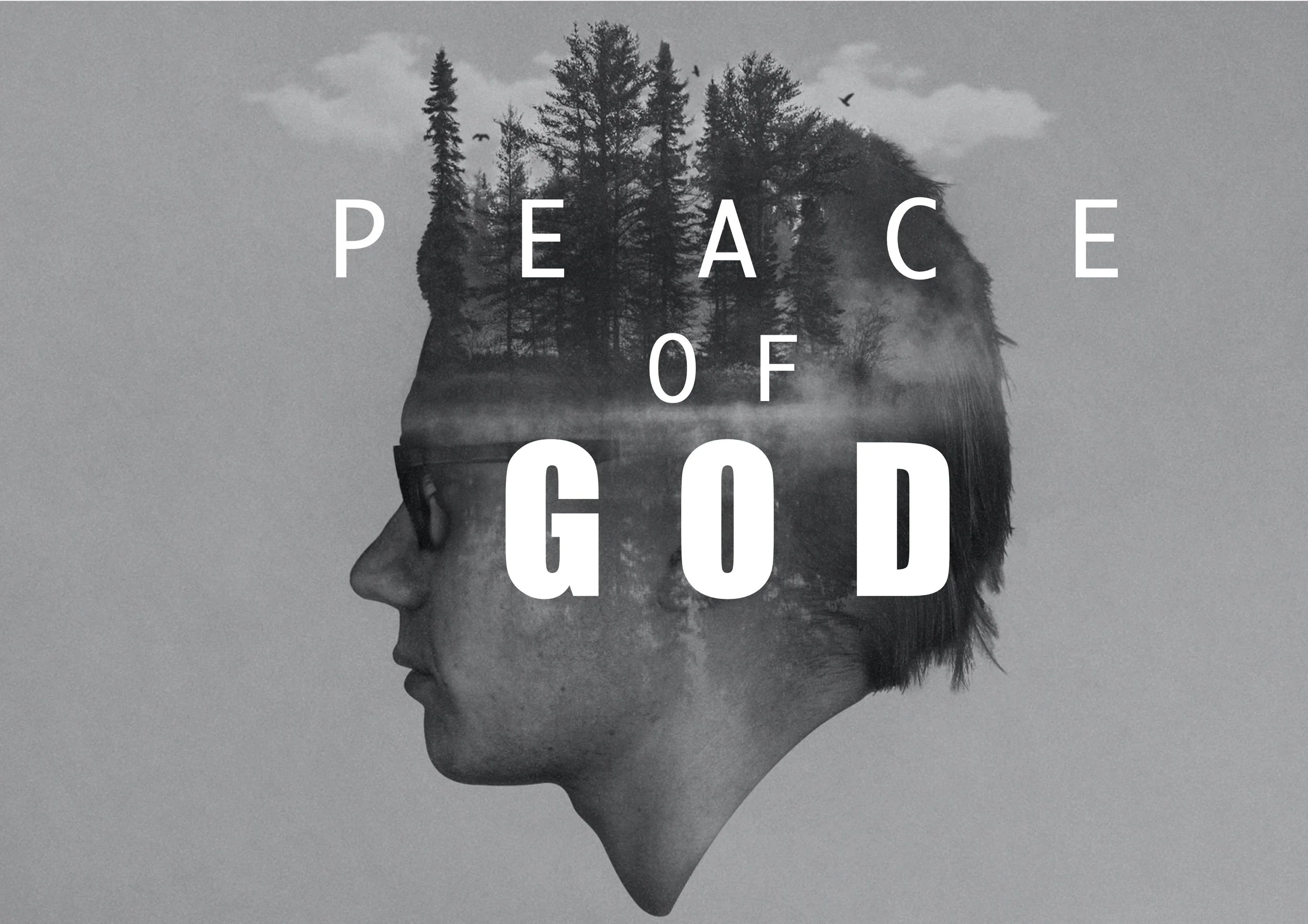 The Peace of God with Steve Fleming