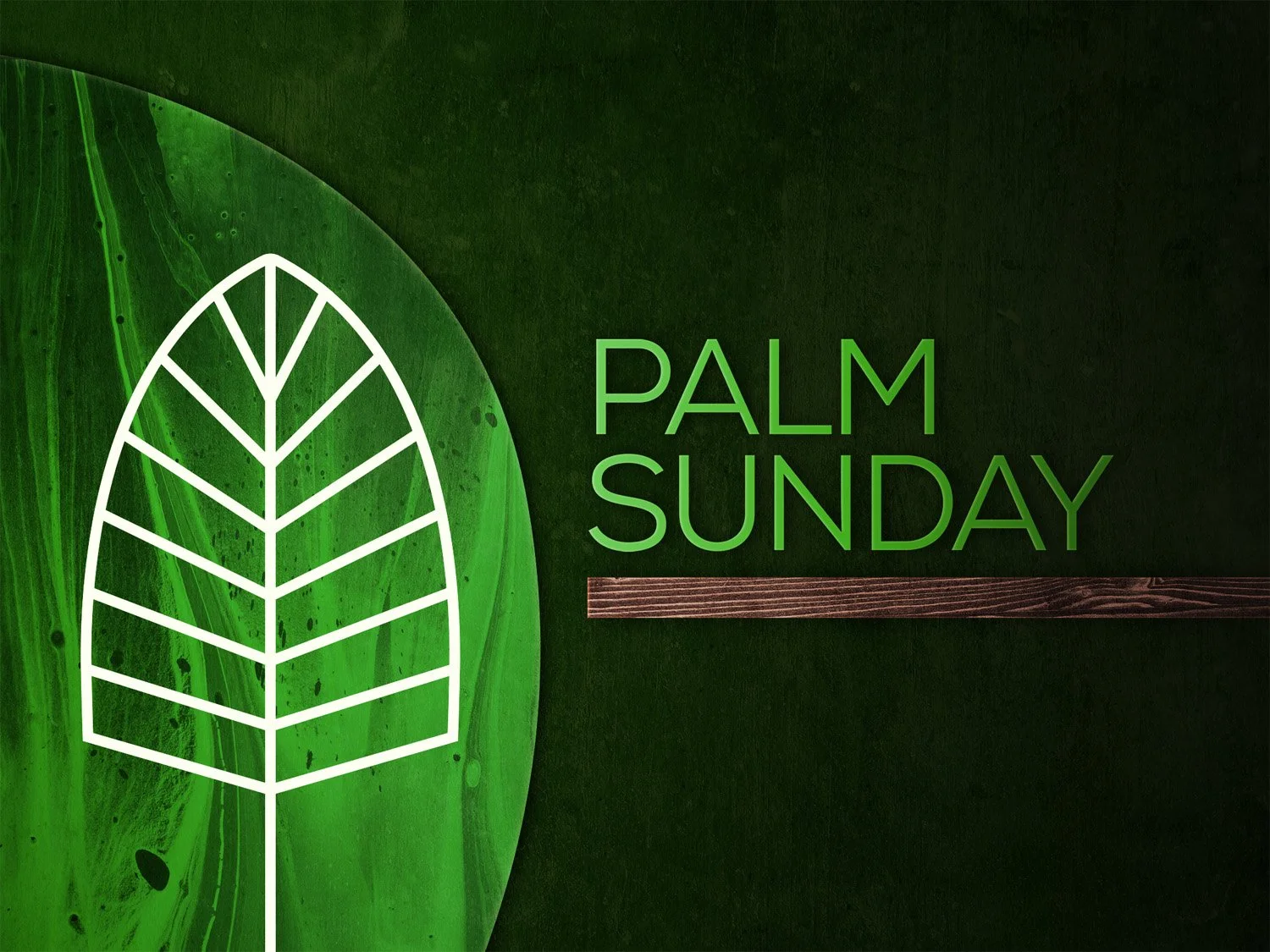 Palm Sunday - "The Last Week of Jesus" with Lisa Wyns