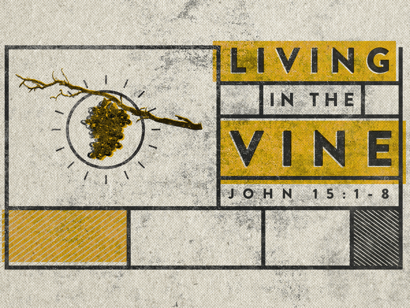 I AM the Vine with Pastor Philip Wyns