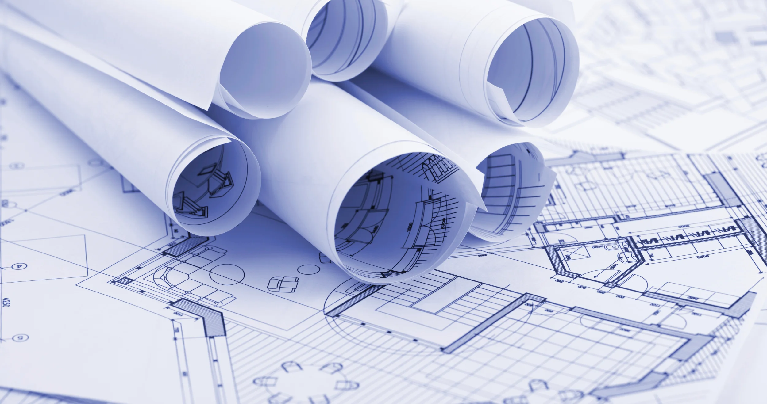 Home Page Image 3.jpg