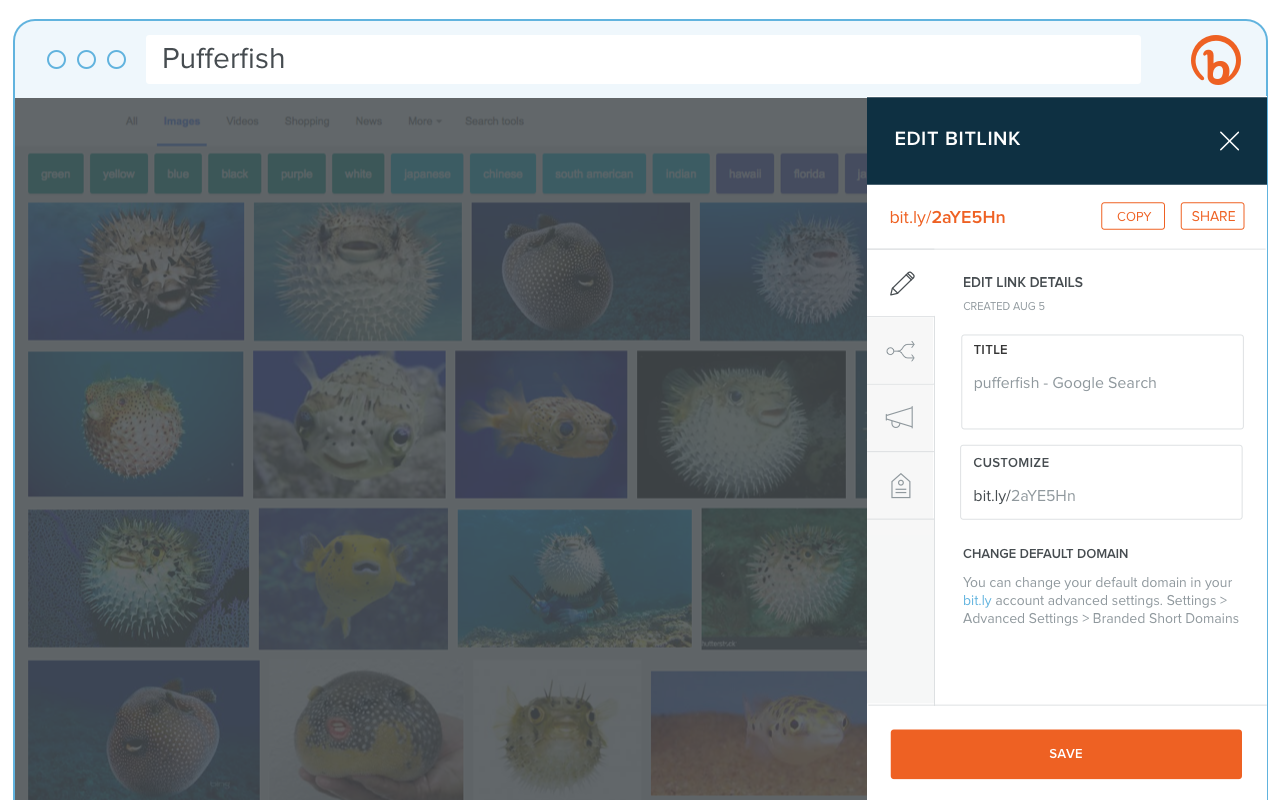 bitly_screen_shot_2_new.png