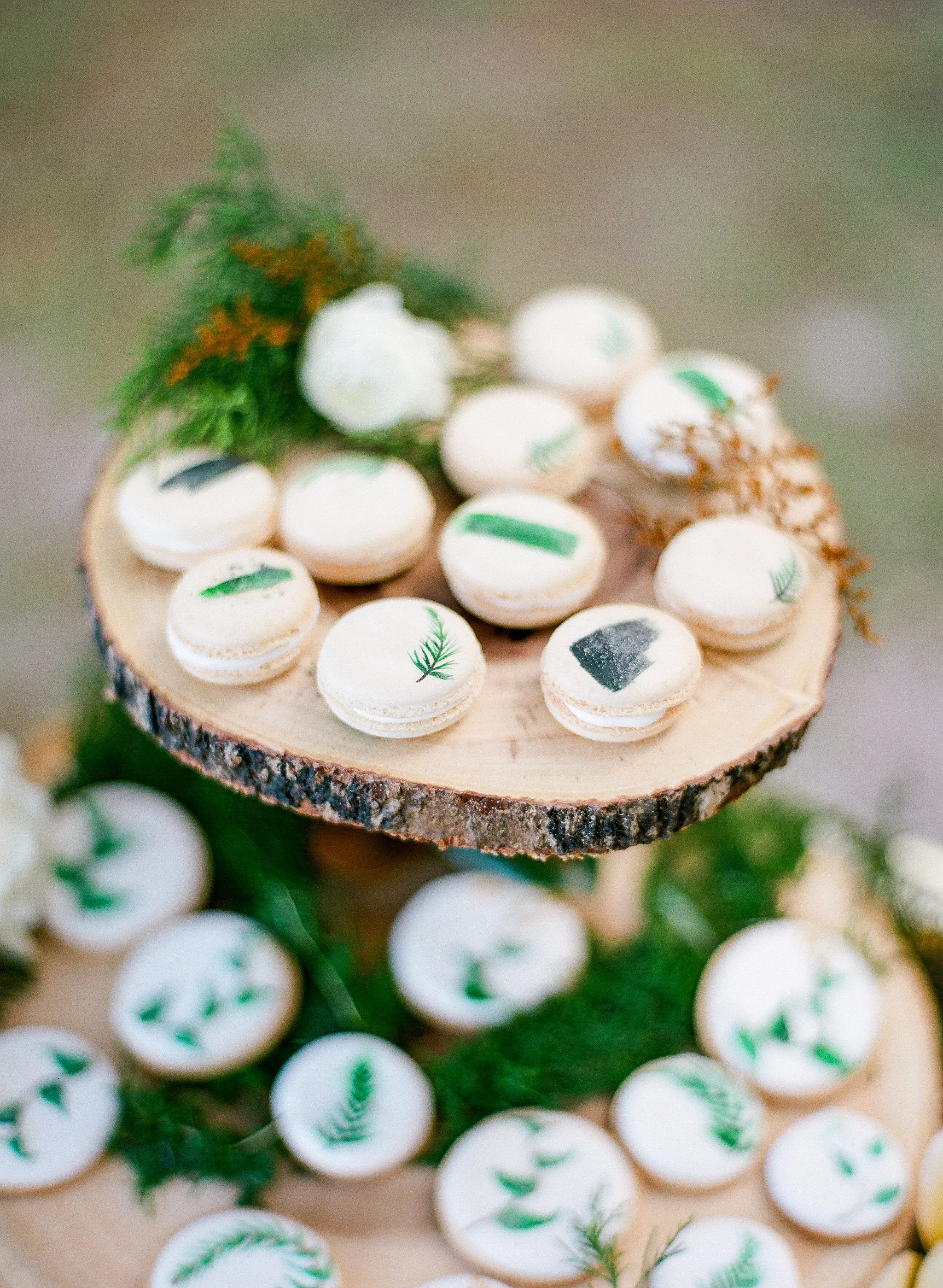 Daly Digs Styling | The Ganeys Photography