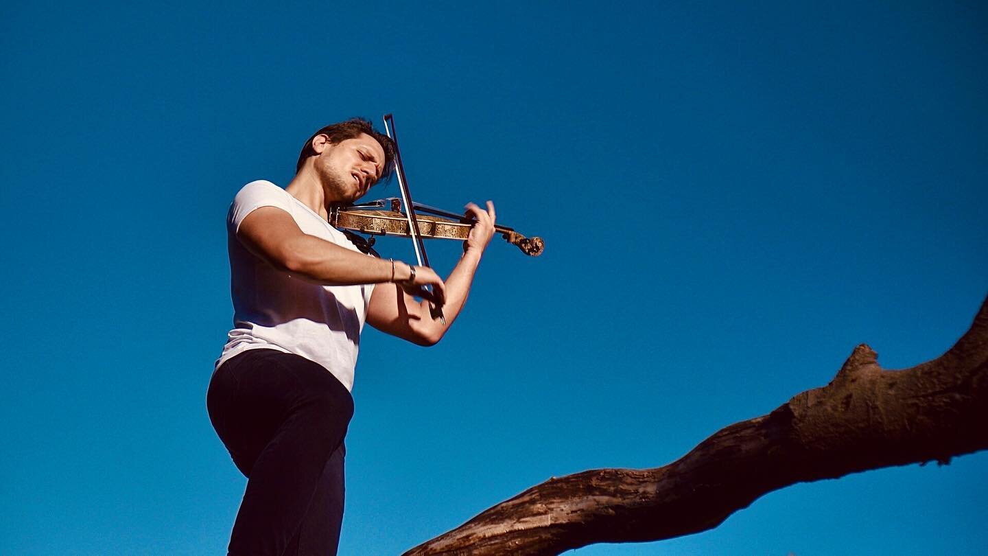 Fiddler on the branch 😆
.
.
.
📸 @haslamfilms 
.
#violinist #violin #violinplayer #violincover #violins