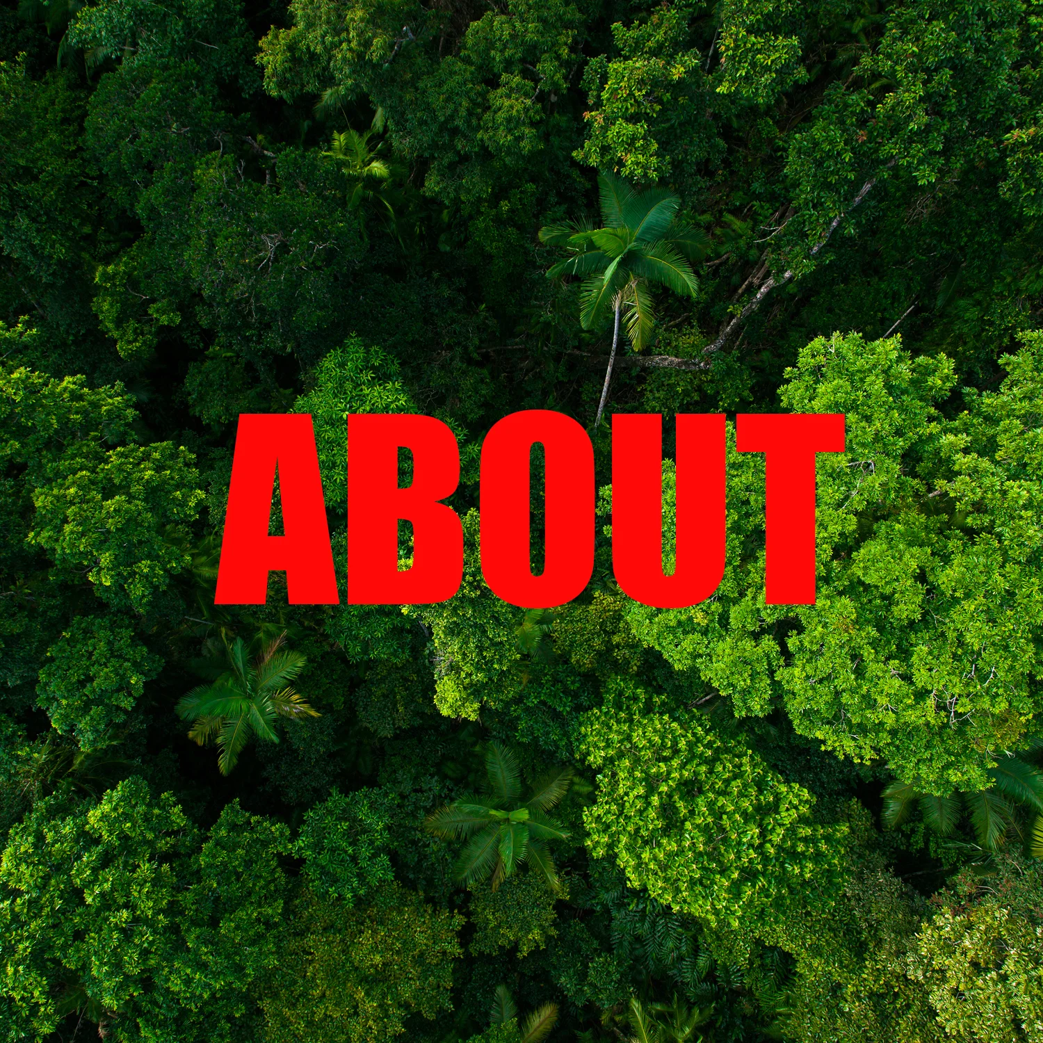 ABOUT.jpg
