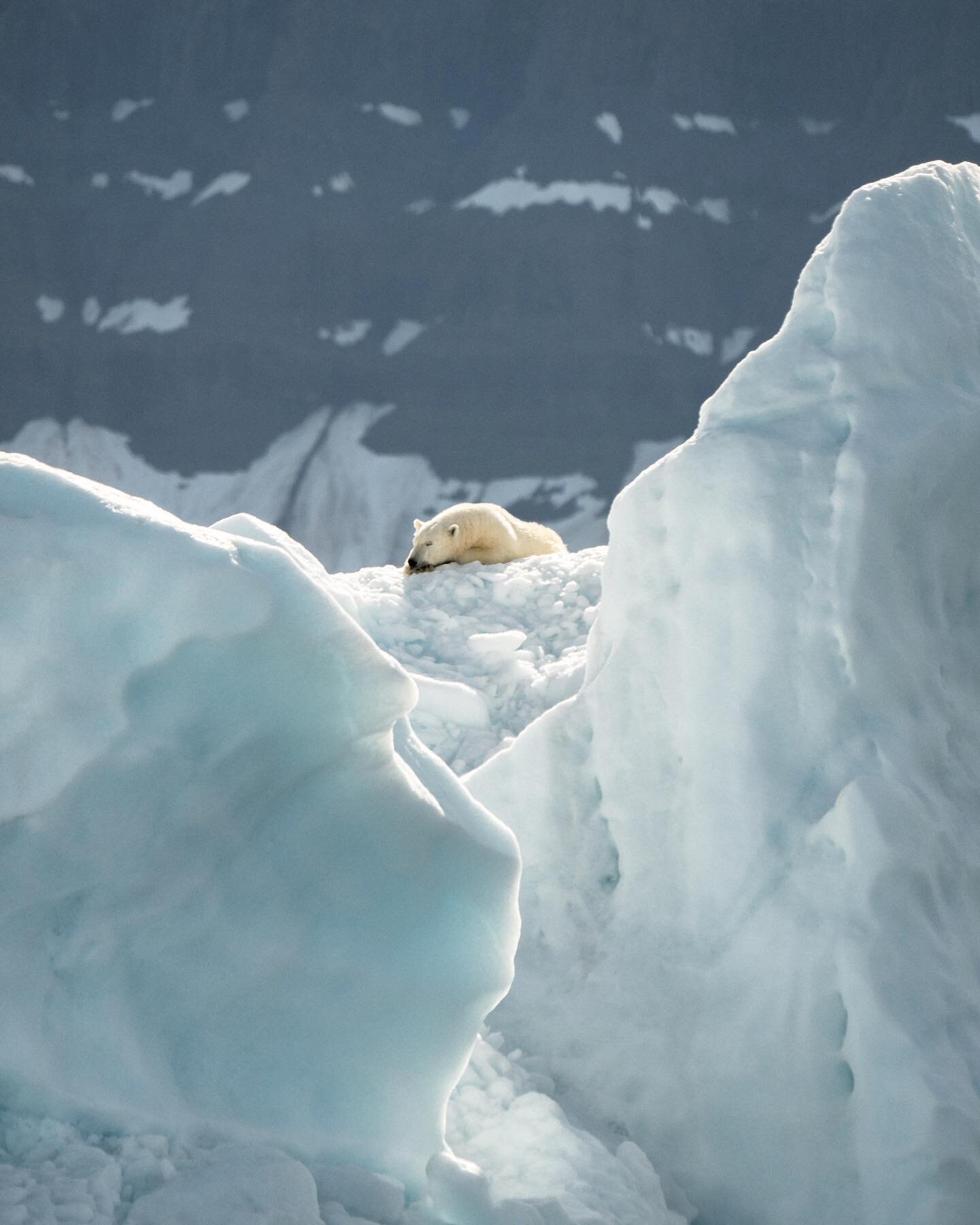 Temperatures reached 100 degrees in the Arctic for the first time in recorded history this past weekend. That&rsquo;s bad. This is a #ClimateCrisis. Period. While one day doesn&rsquo;t mean doom this is an indisputable trend in the wrong direction. W