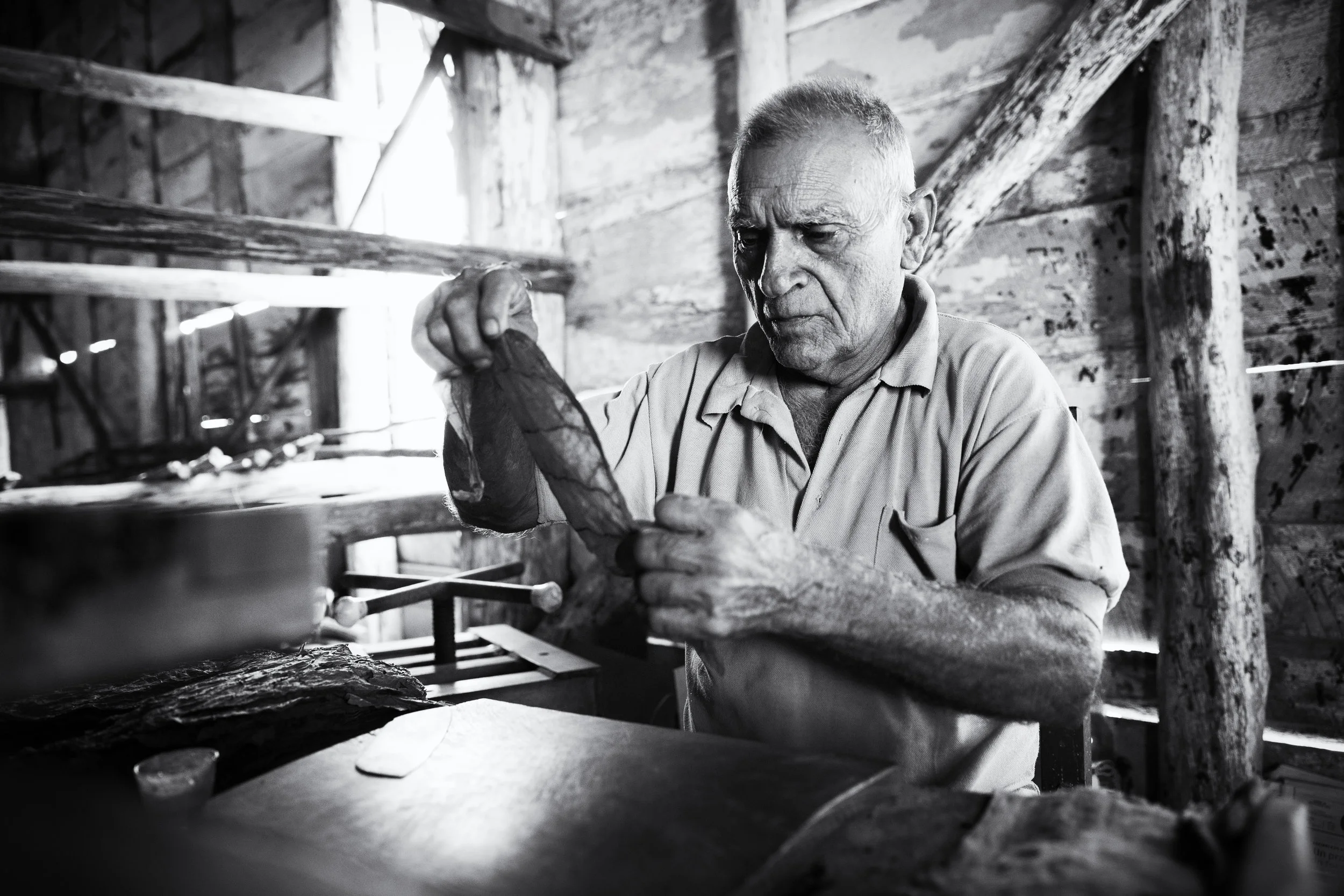 20151127-untitled-0268-Edit-2.jpg