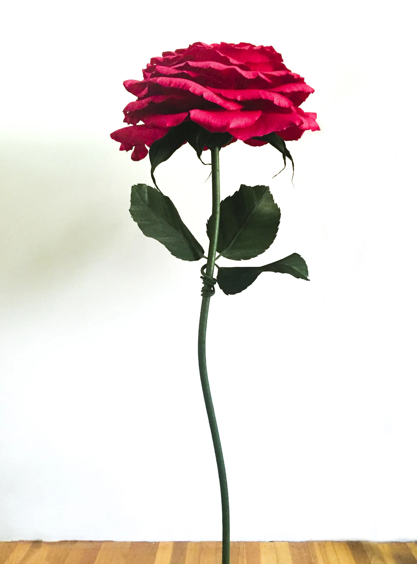 Red Rose 2 For Website.jpg