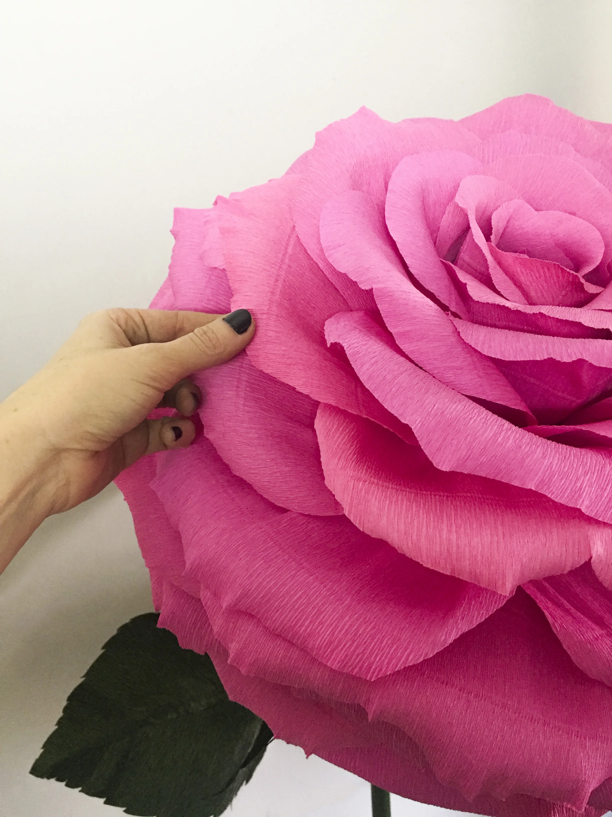 Pink Rose 12 forWebsite.jpg