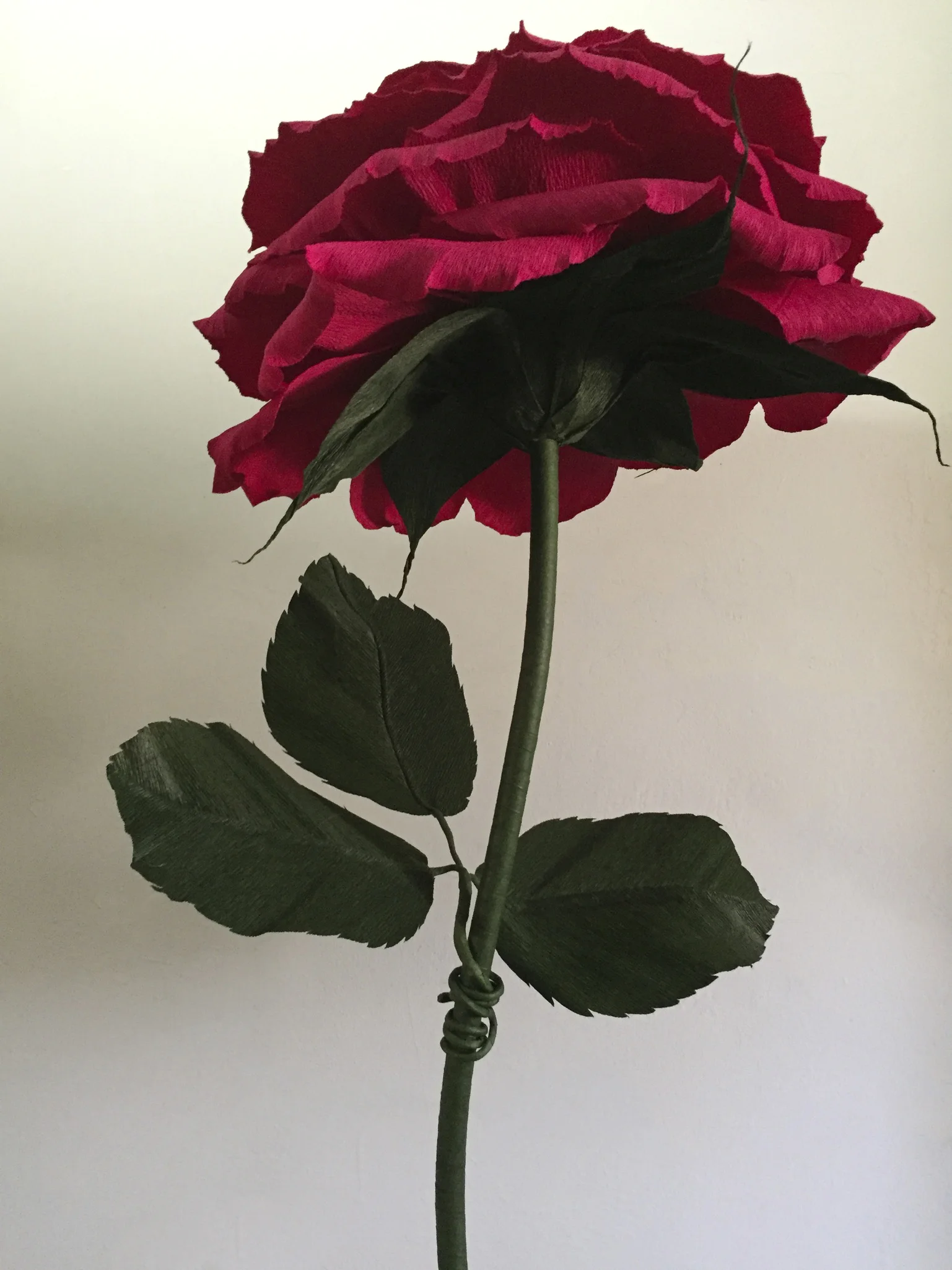 Red Rose 10 for Website.jpg