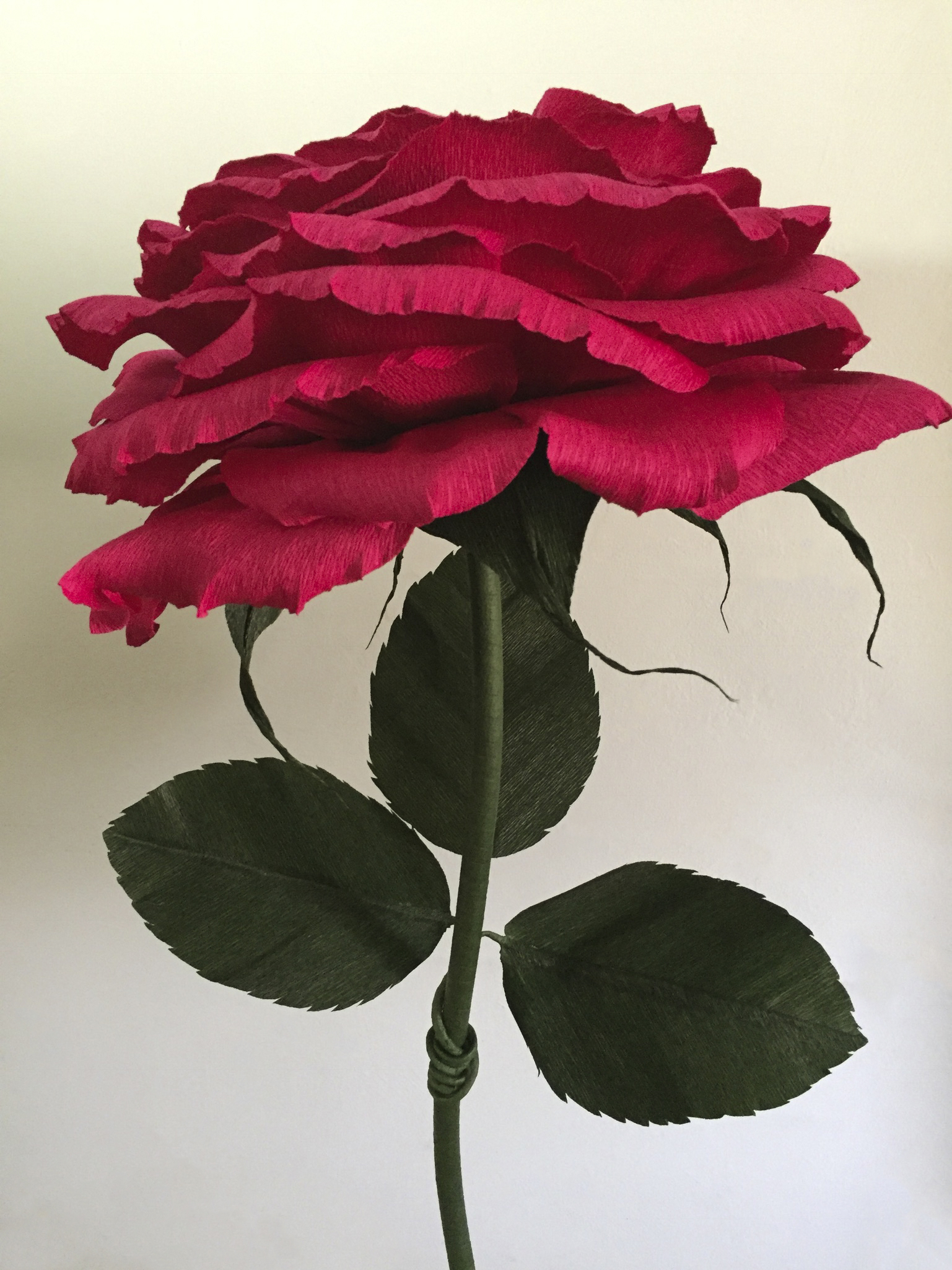 Red Rose 9.1 for Website.jpg