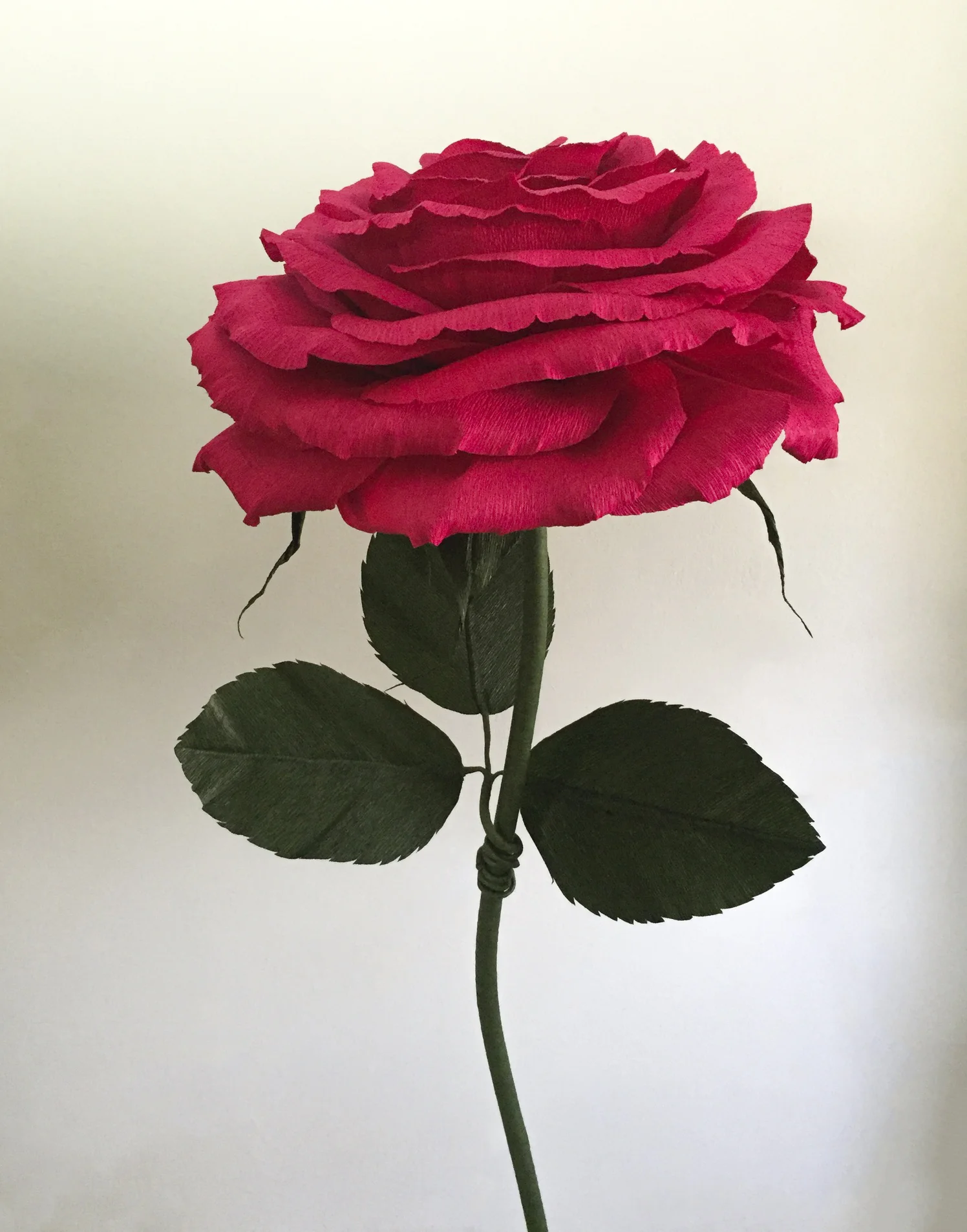 Red Rose 4.2.jpg