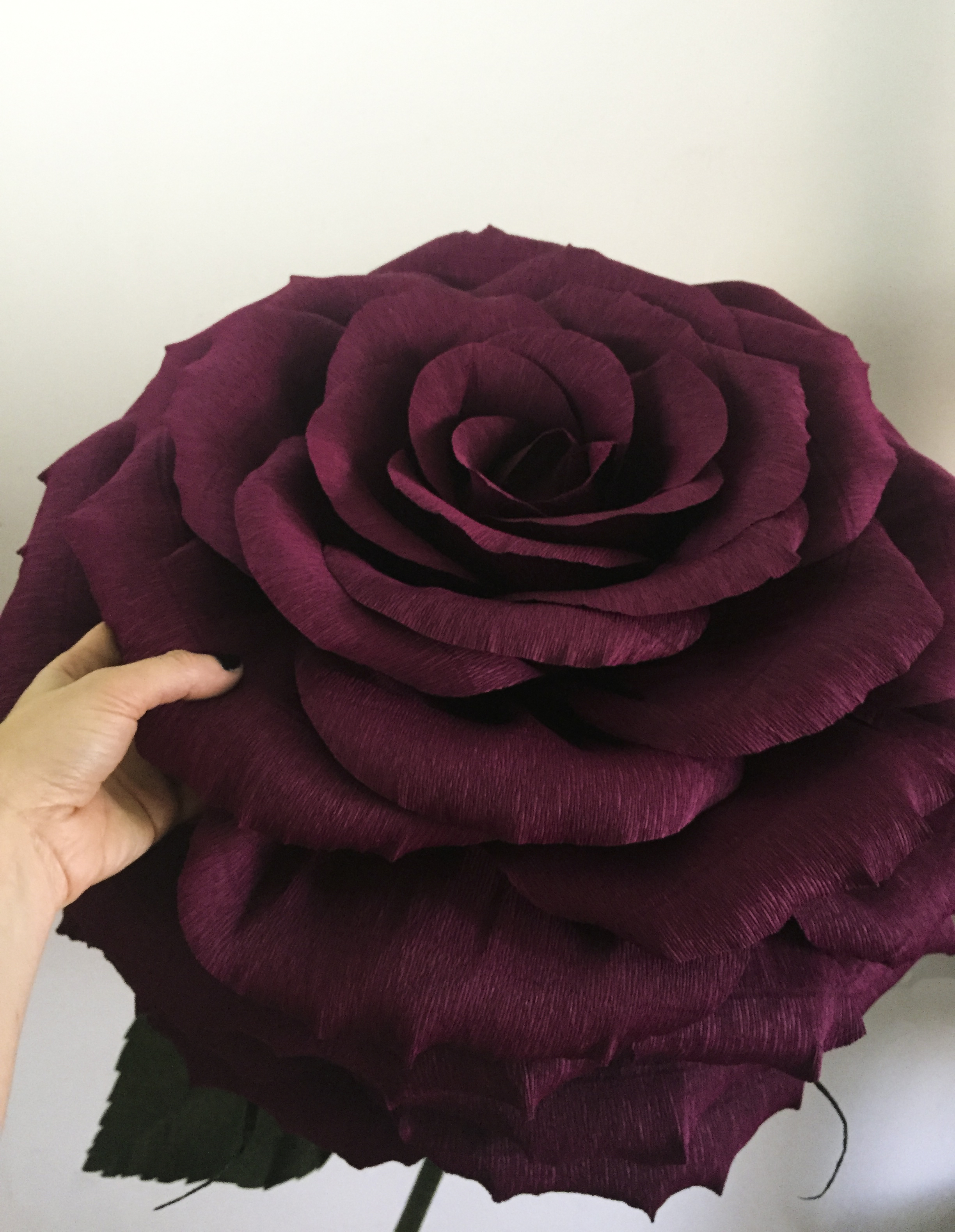 Wine Rose 1.1.jpg