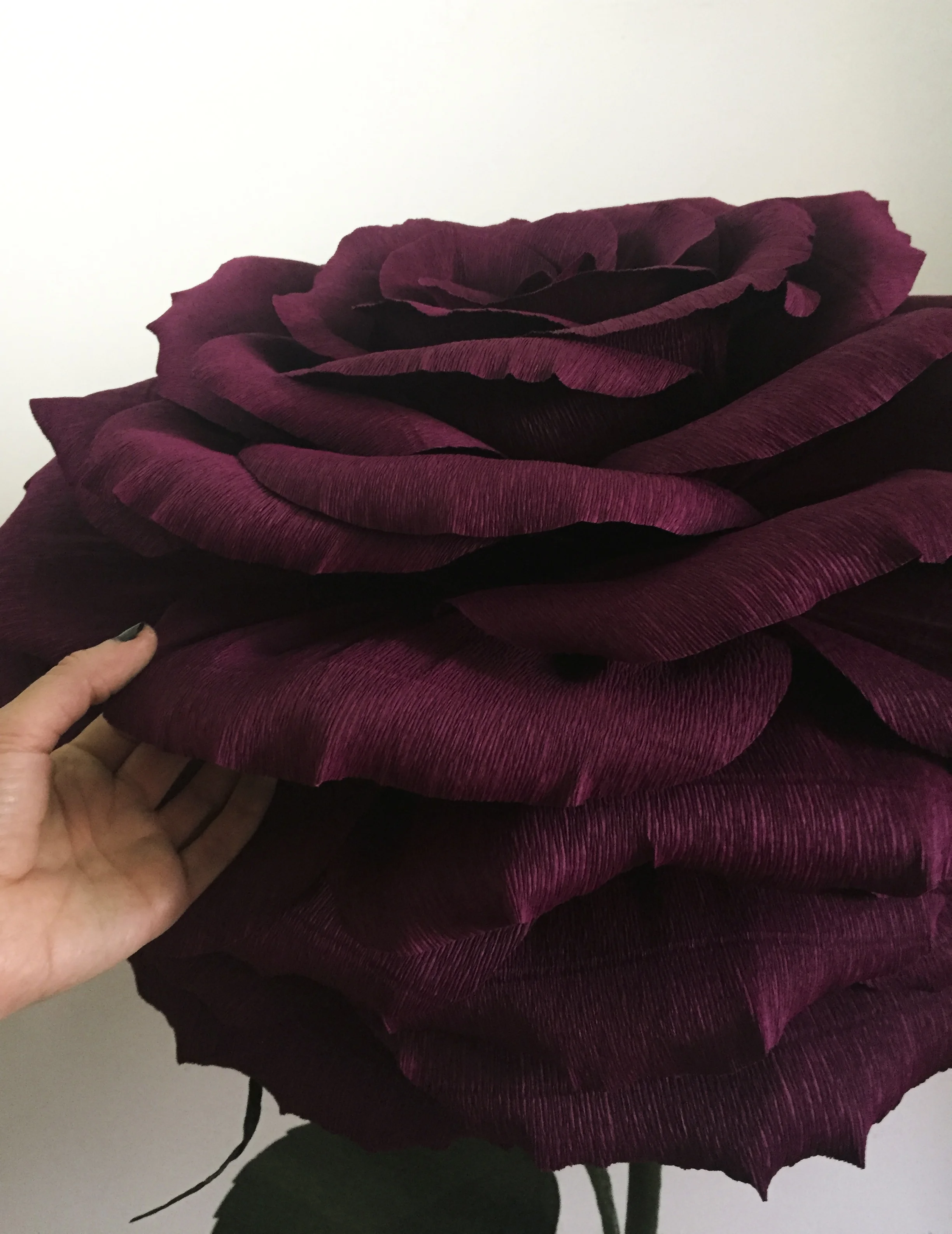 Wine Rose 2.1.jpg