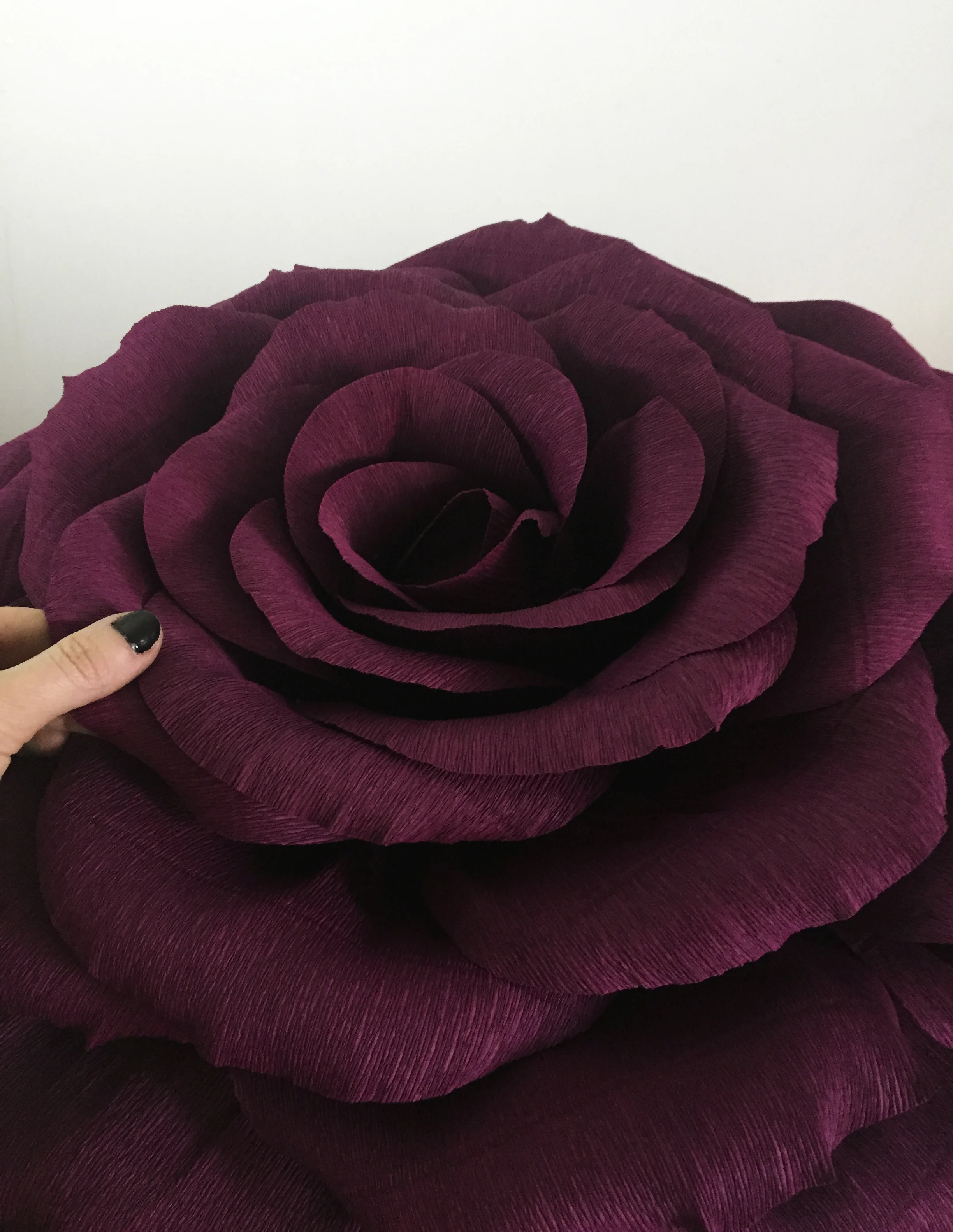 Wine Rose 10.1.jpg