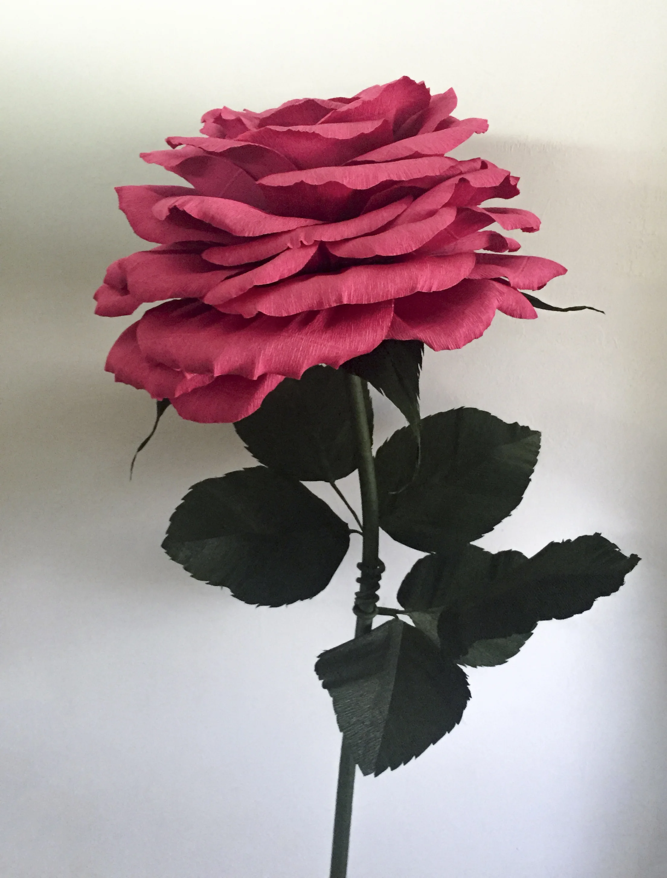 Dusty Rose 7.2.jpg