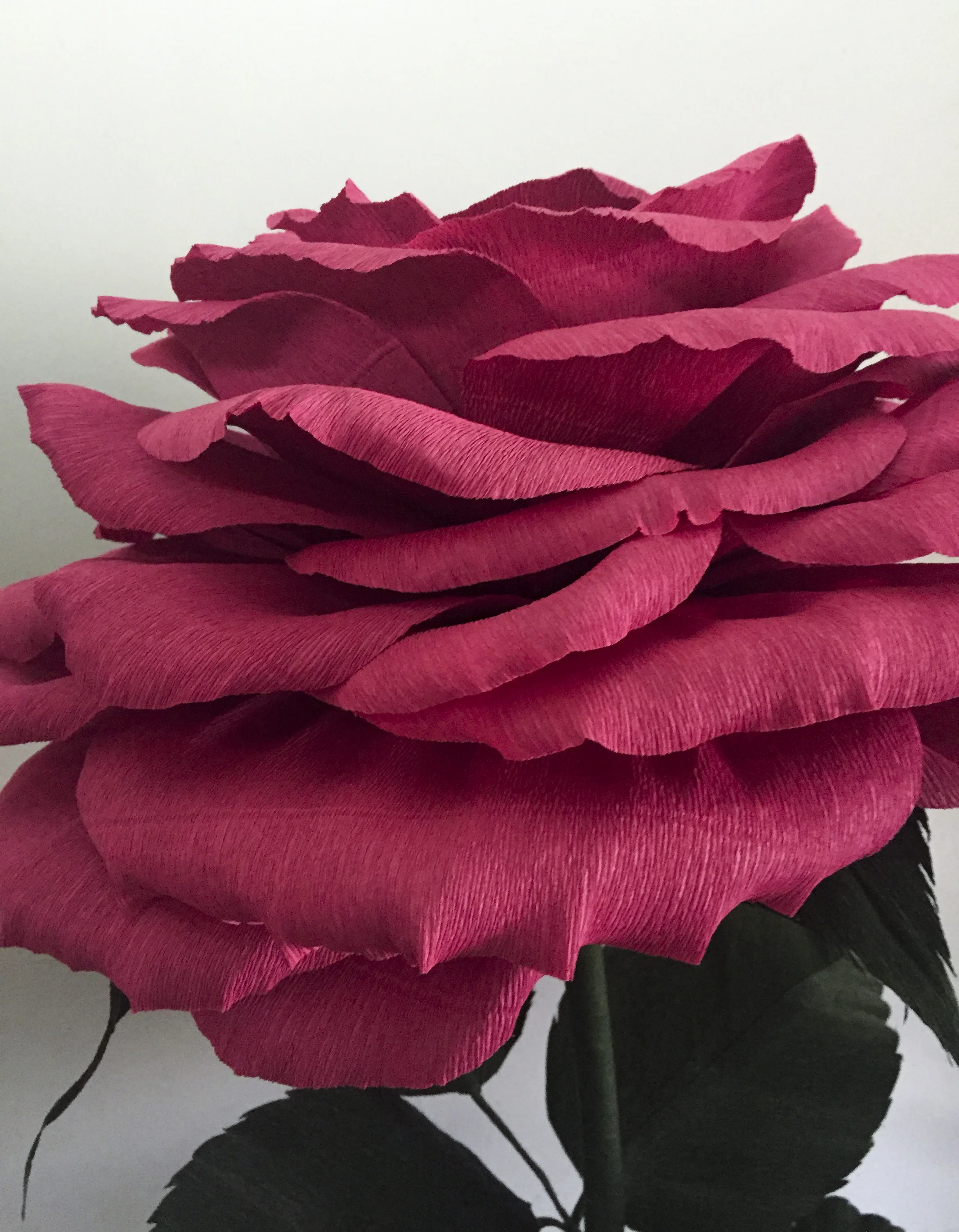 Dusty Rose 10.1.jpg