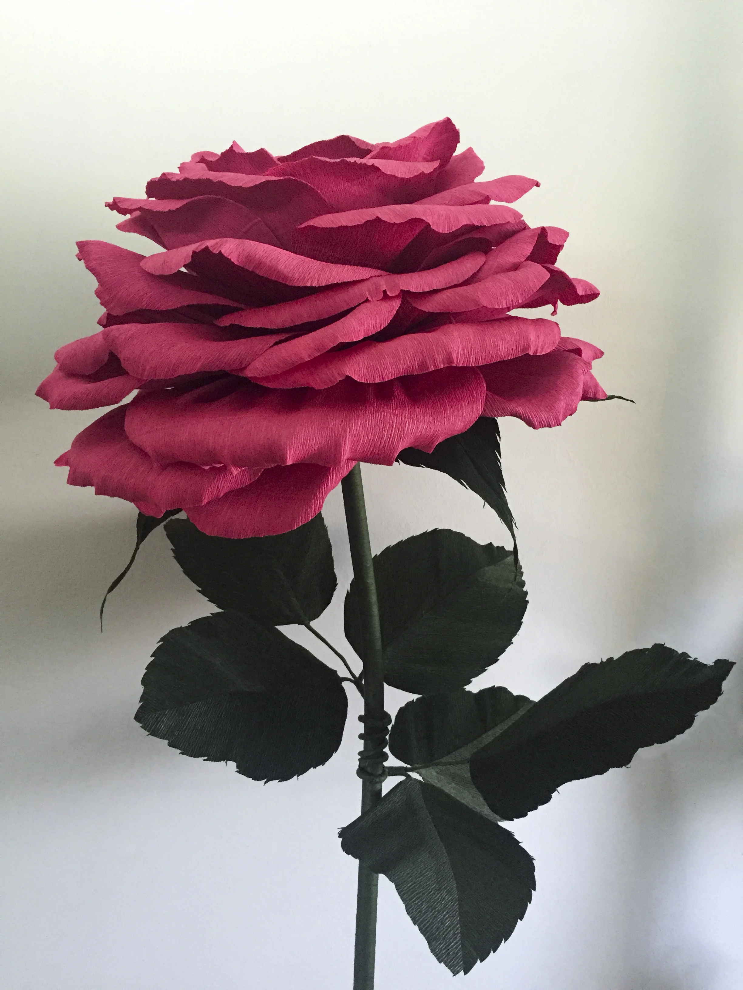 Dusty Rose 13.1.jpg