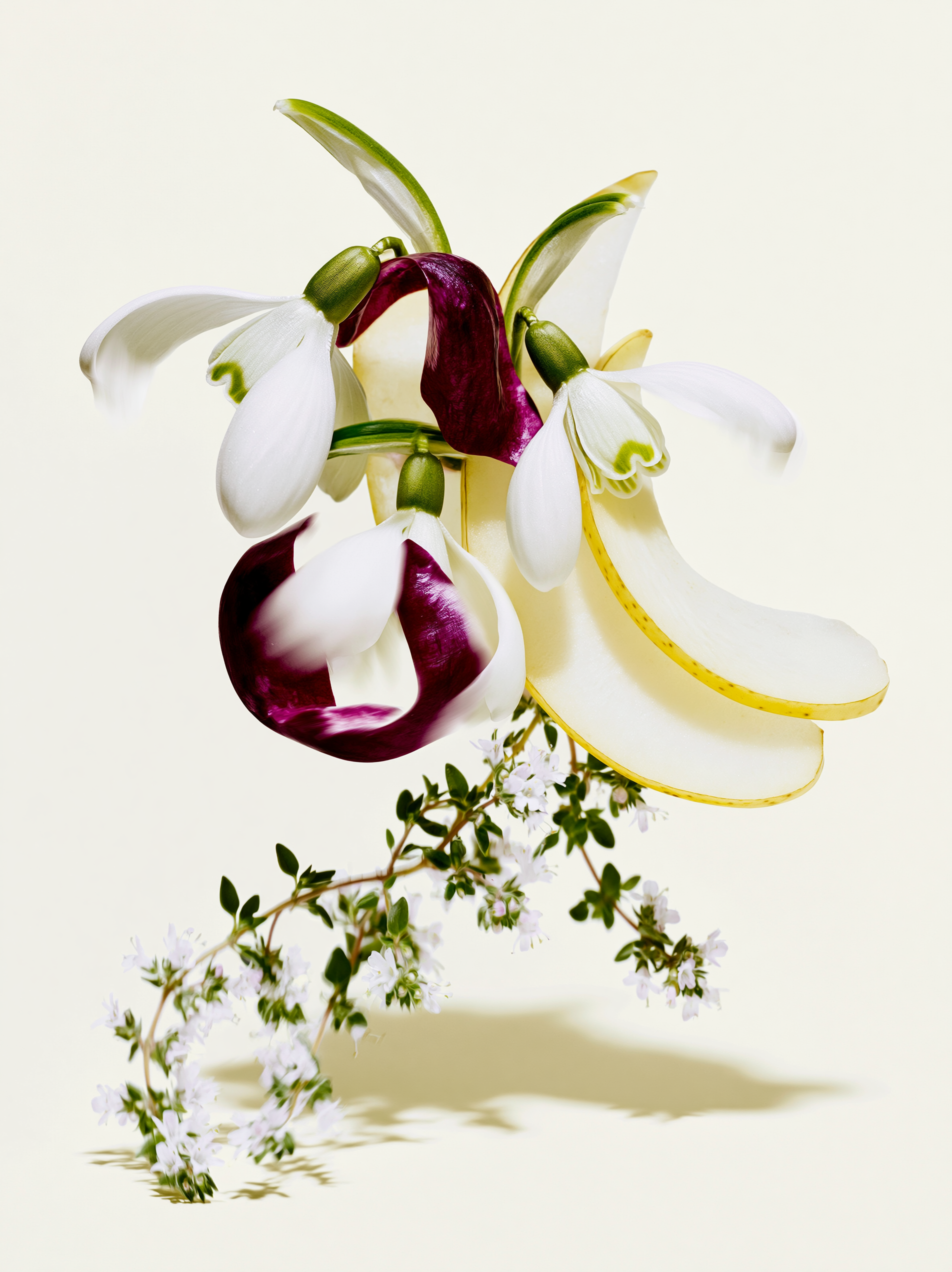Schlotterhose_Botanicals_3.png