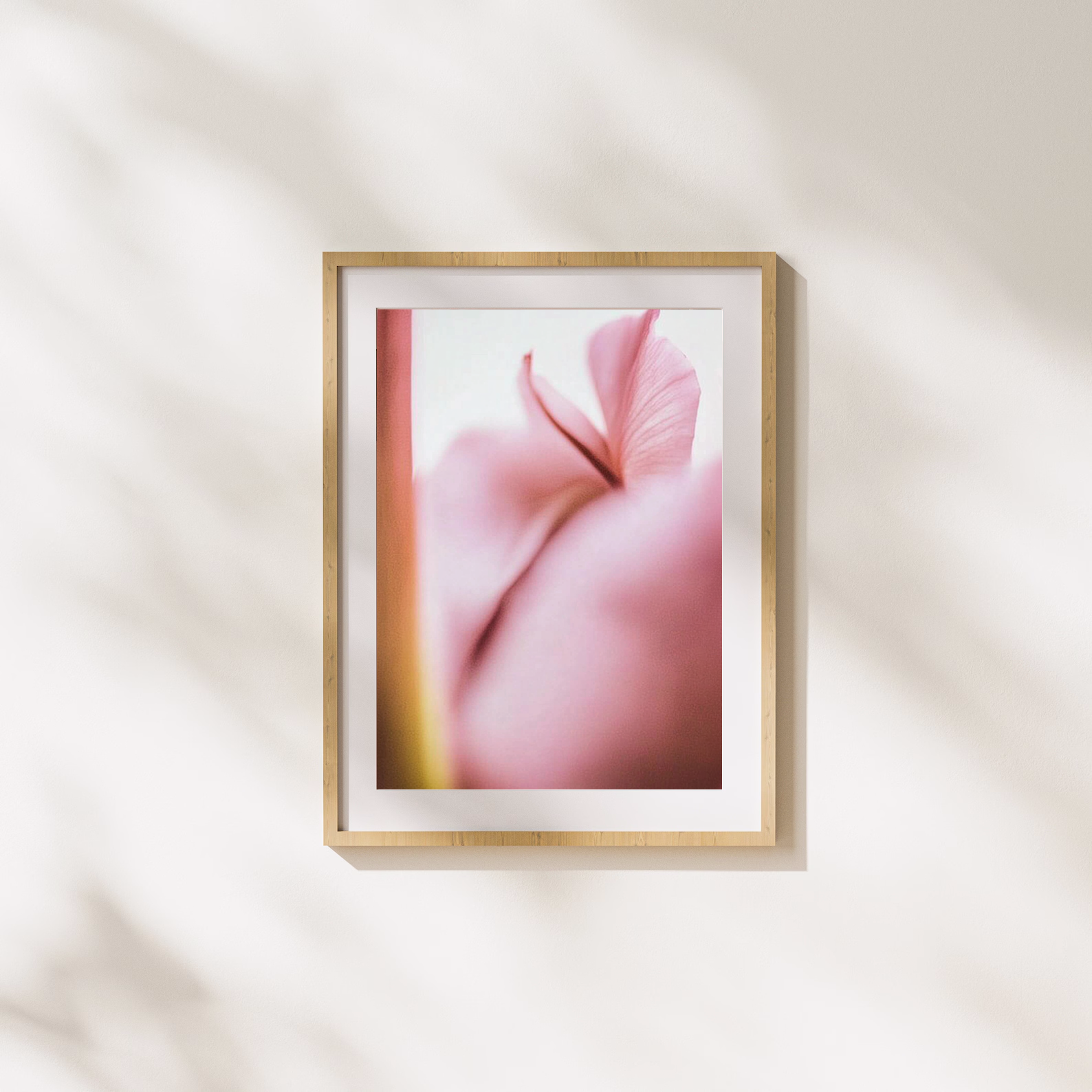Blossom Veil Light Pink Macro Botanical Print Poster