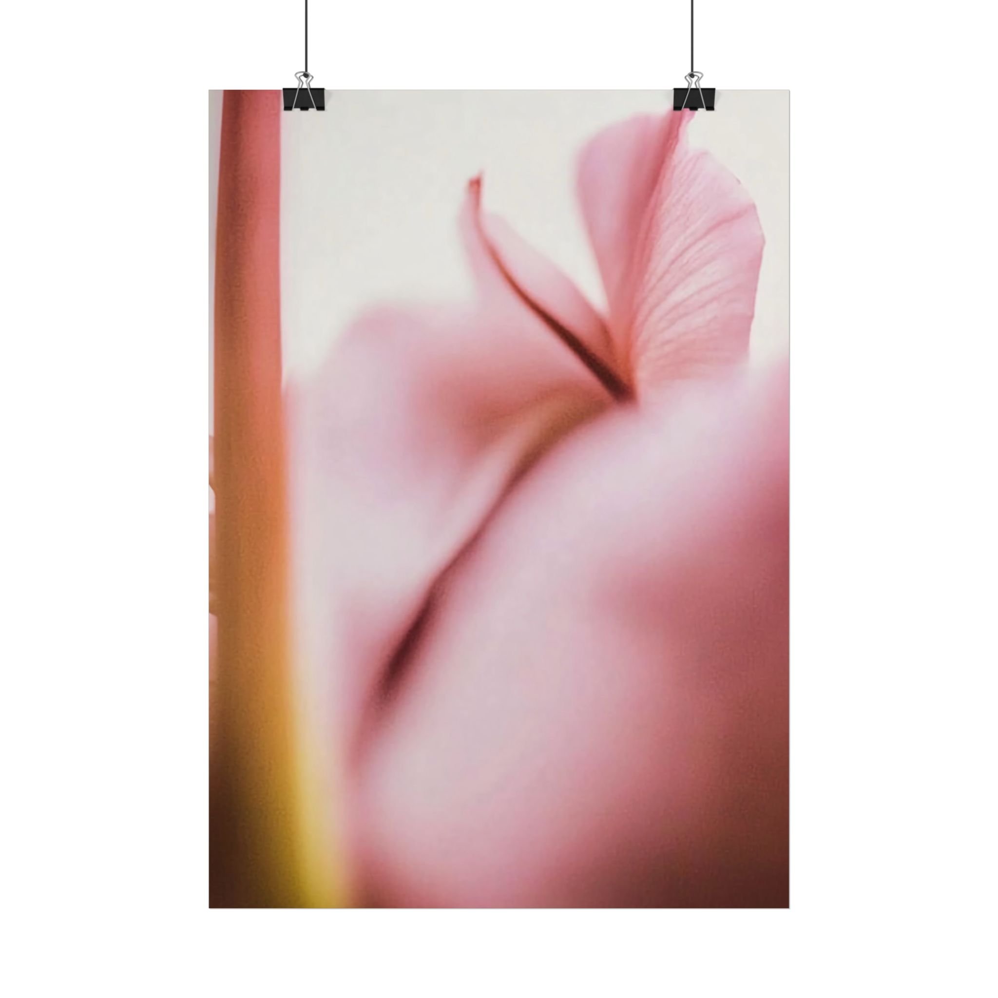 Blossom Veil Light Pink Macro Botanical Print Poster