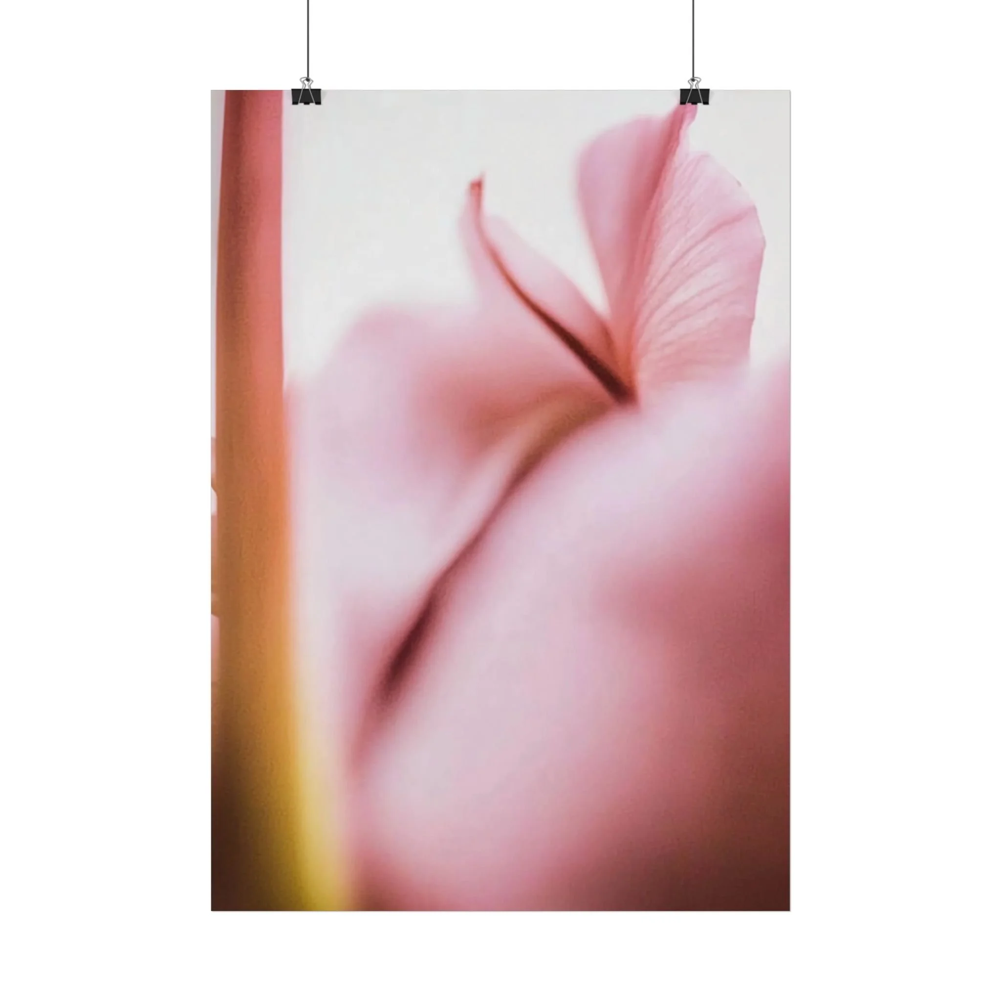 Blossom Veil Light Pink Macro Botanical Print Poster