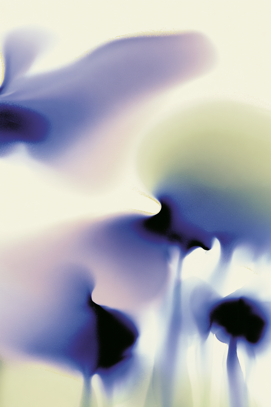 Abstract Flower_Schlott_Screensaver.png