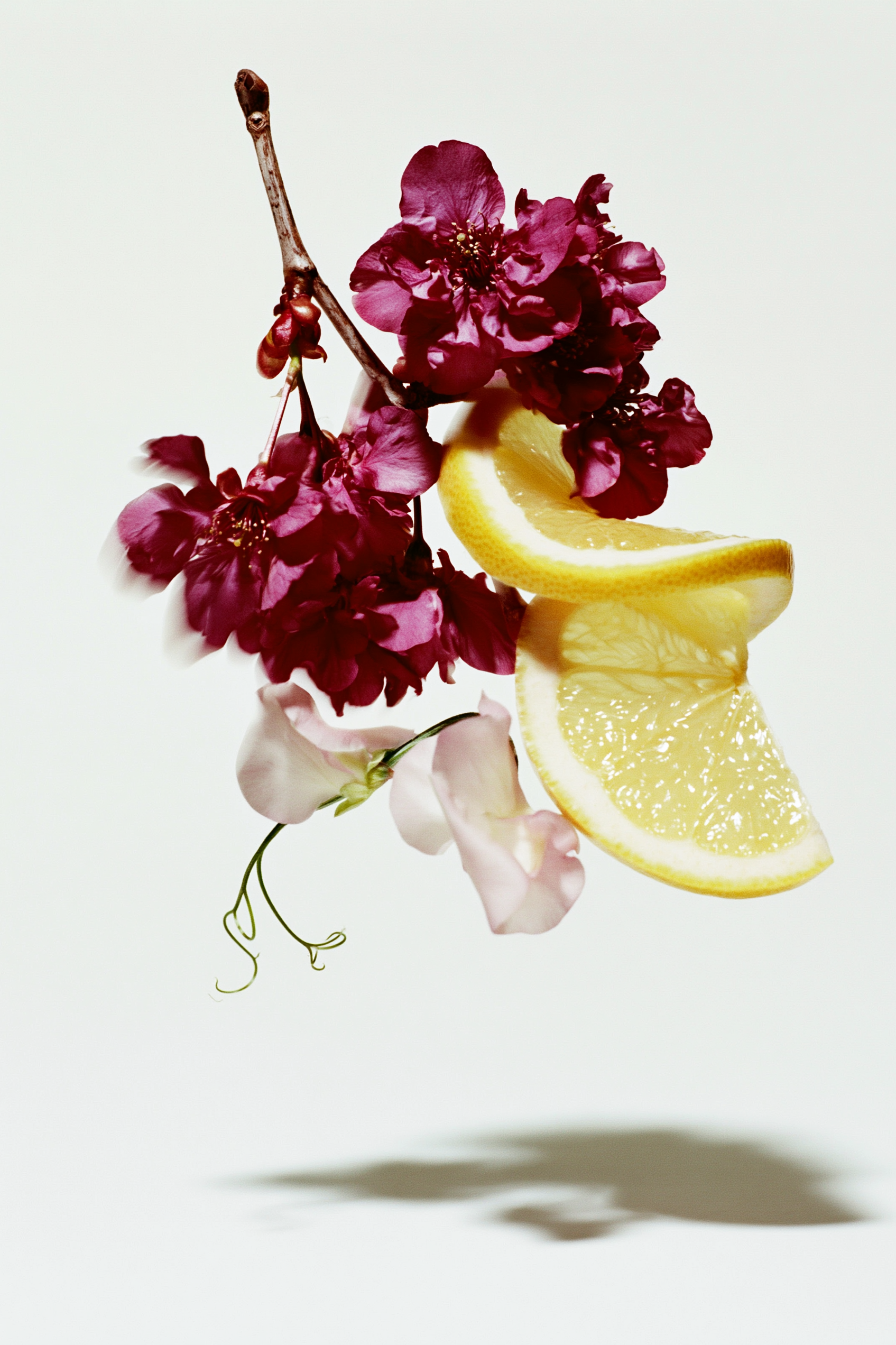 schlotterhose_botanical-notes_blossom-citrus.png