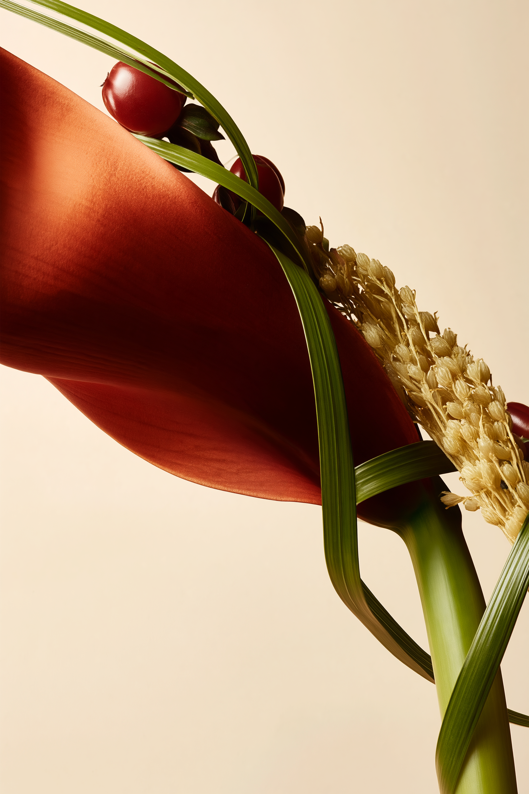 Red Floral & Berries — Perfume Botanical.png