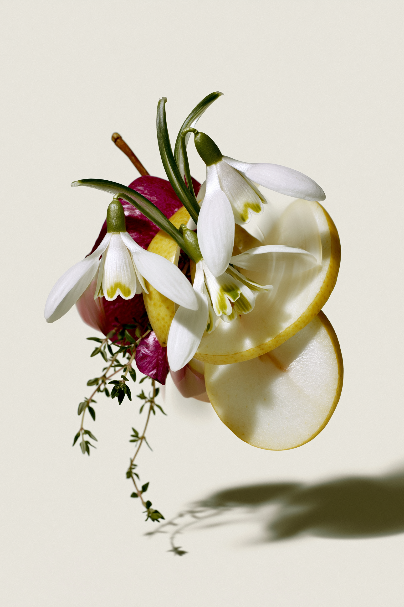 schlotterhose_botanical-notes_snowdrop-pear.png