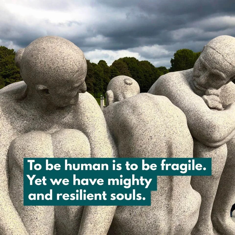 human is fragile.jpg